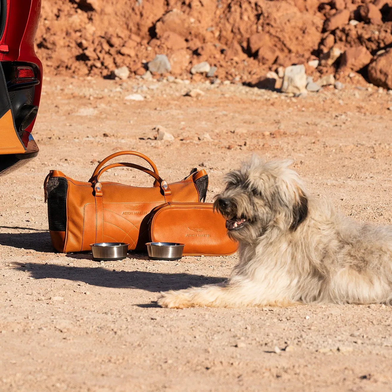 Aston Martin DBX Dog Accessories Kit
