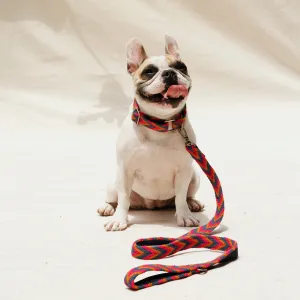 Azul Set - Collar & Leash