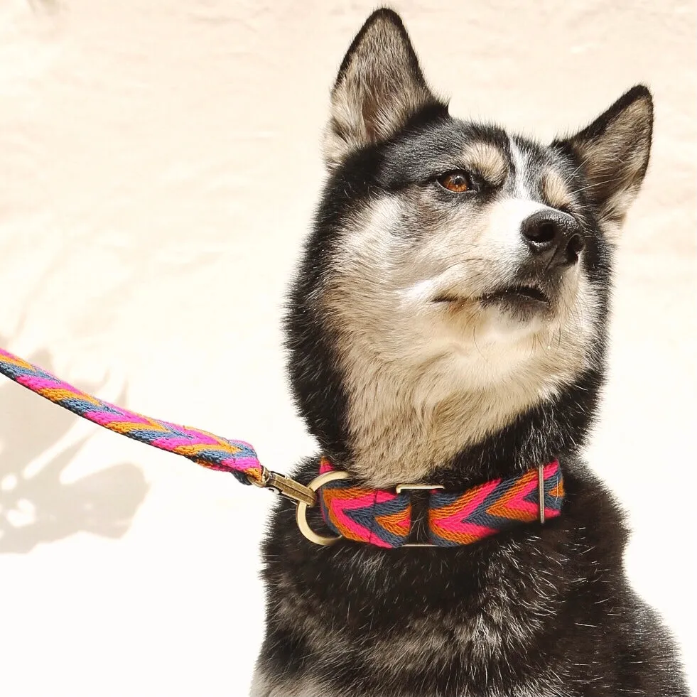 Azul Set - Collar & Leash