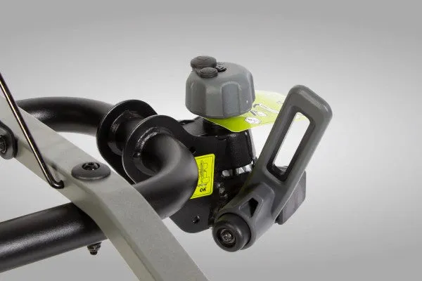 BuzzRack Buzzybee 2 Bike Carrier