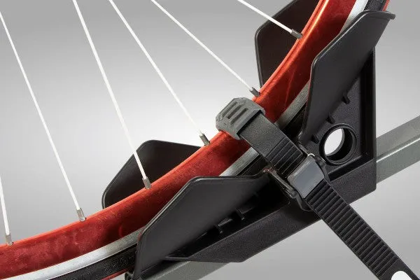 BuzzRack Buzzybee 2 Bike Carrier