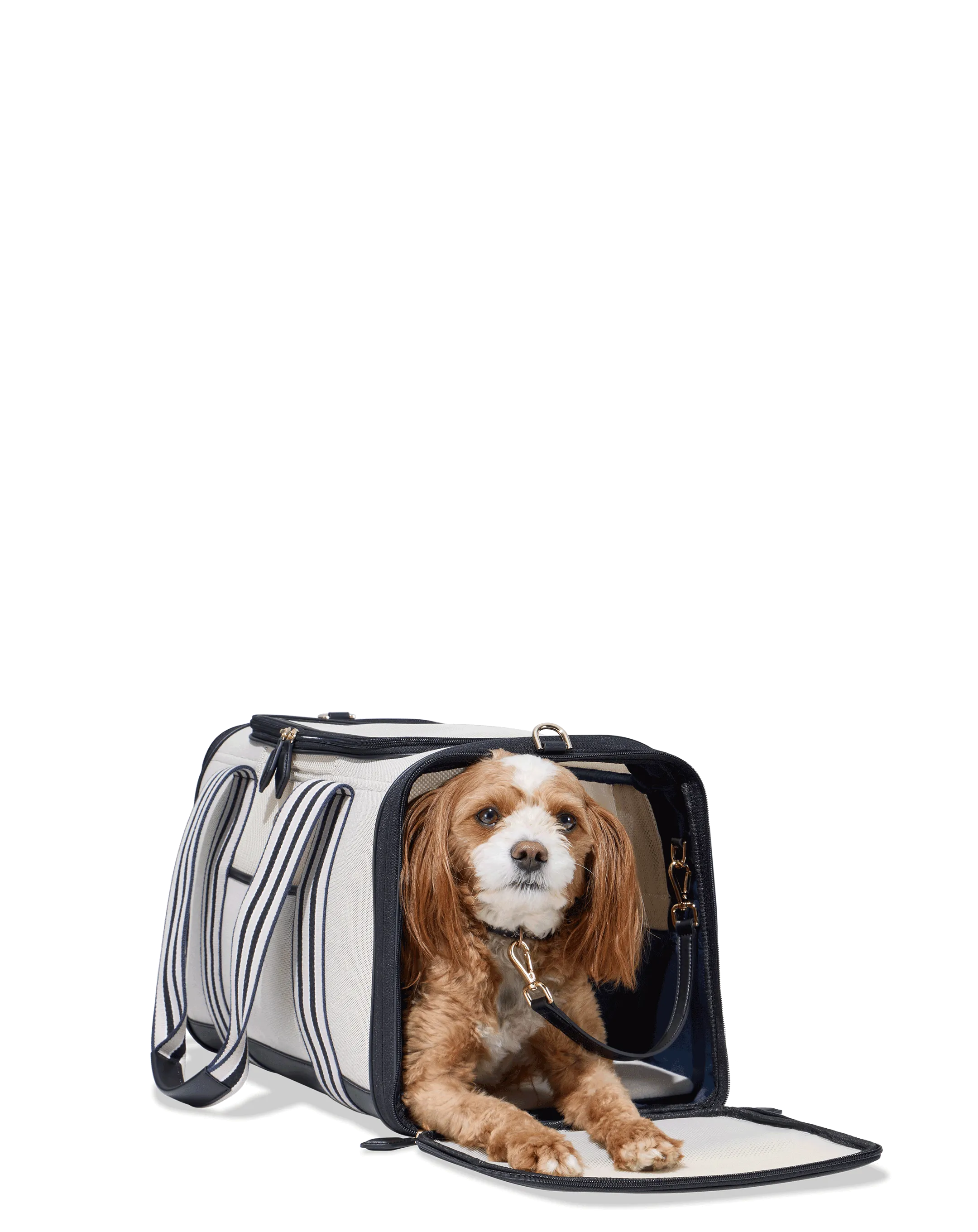 Cabana Pet Carrier