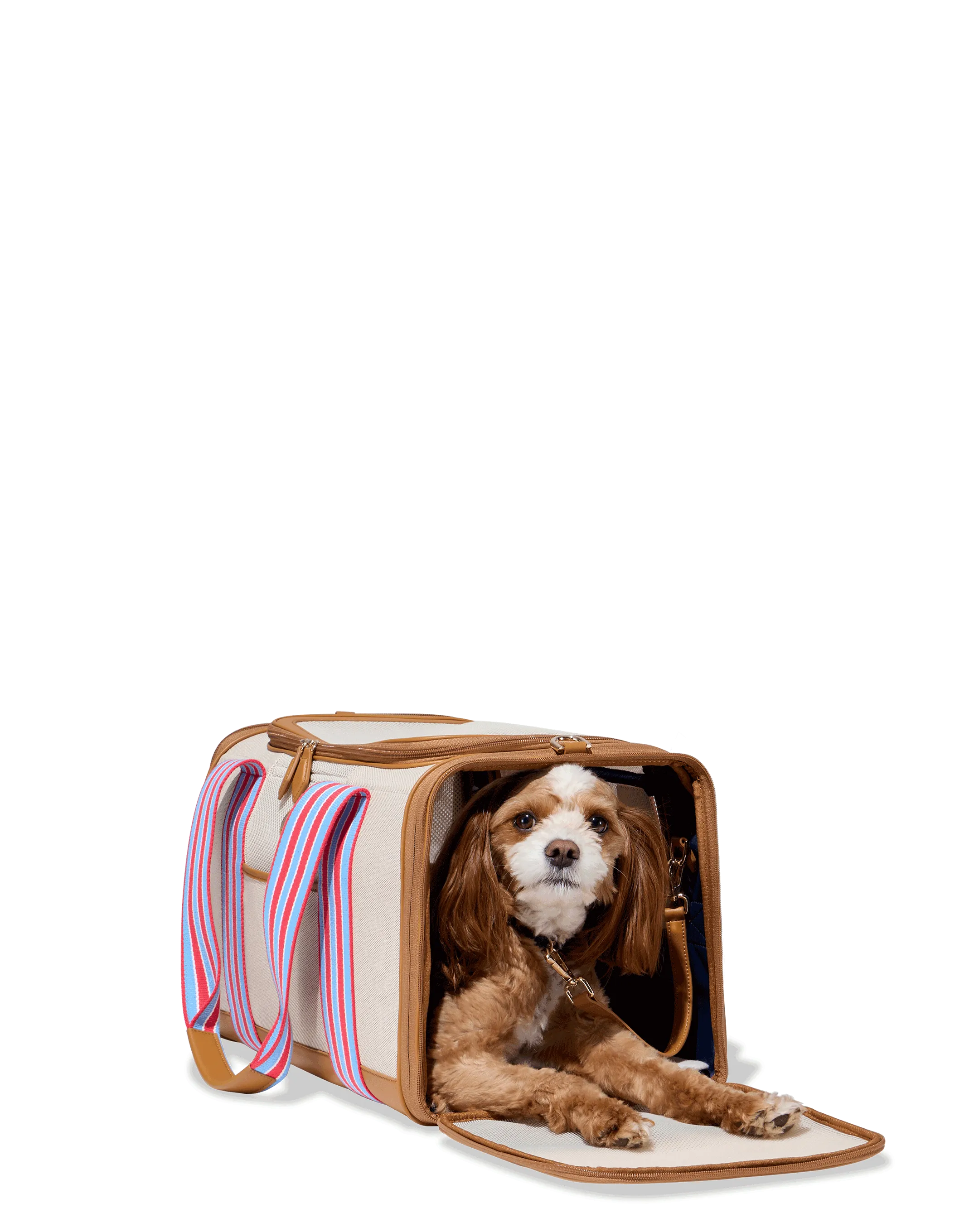 Cabana Pet Carrier