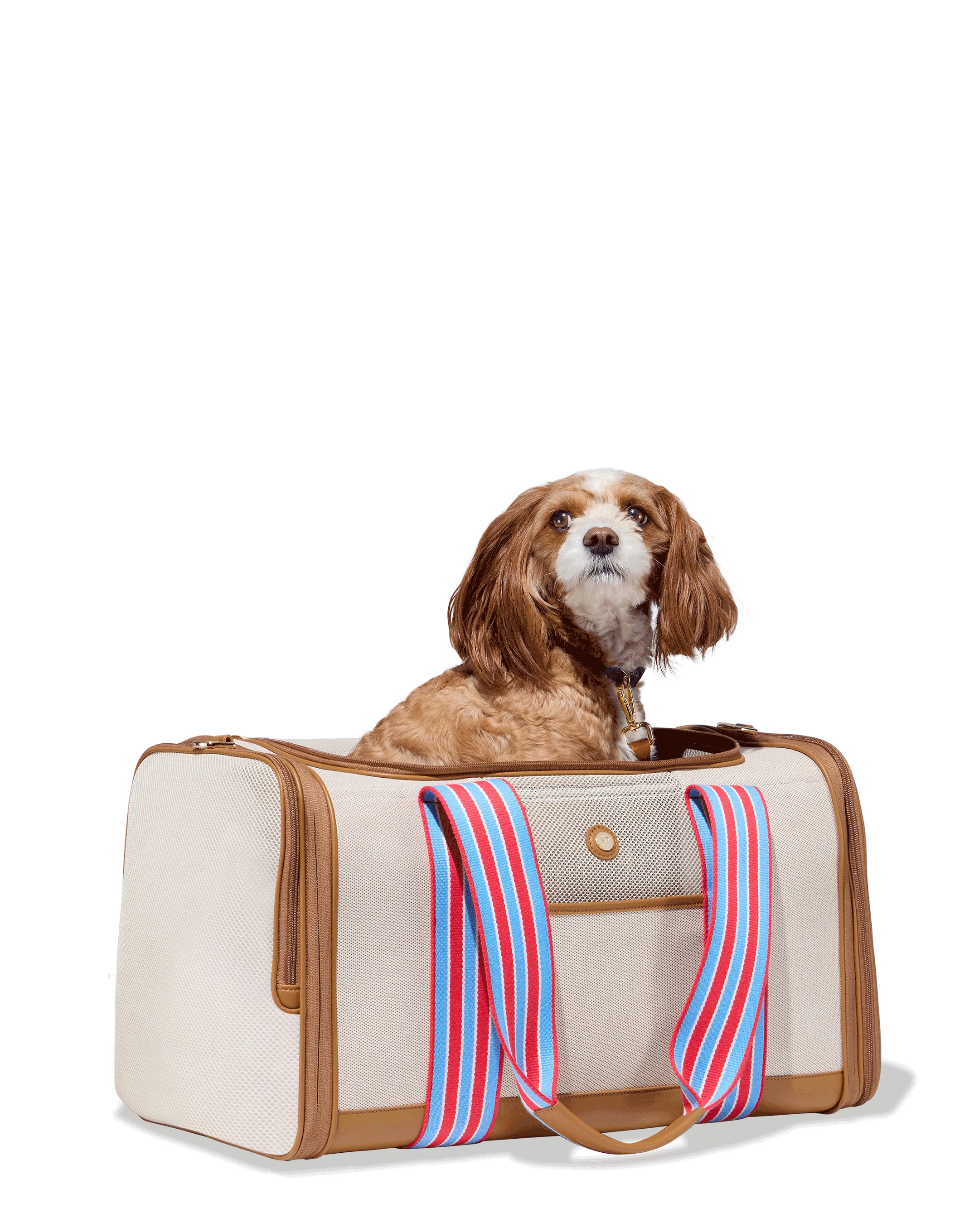 Cabana Pet Carrier