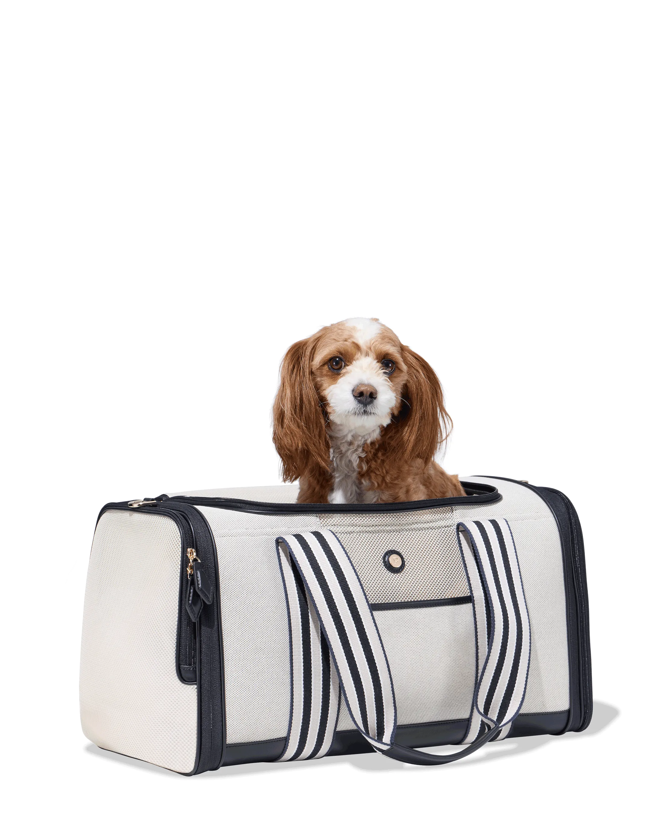 Cabana Pet Carrier