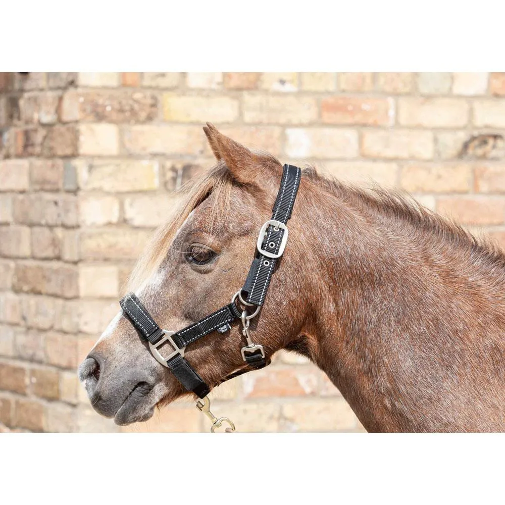 Cameo Equine Fieldsafe Headcollar - Keep Your Horse Safe with Reflective Webbing