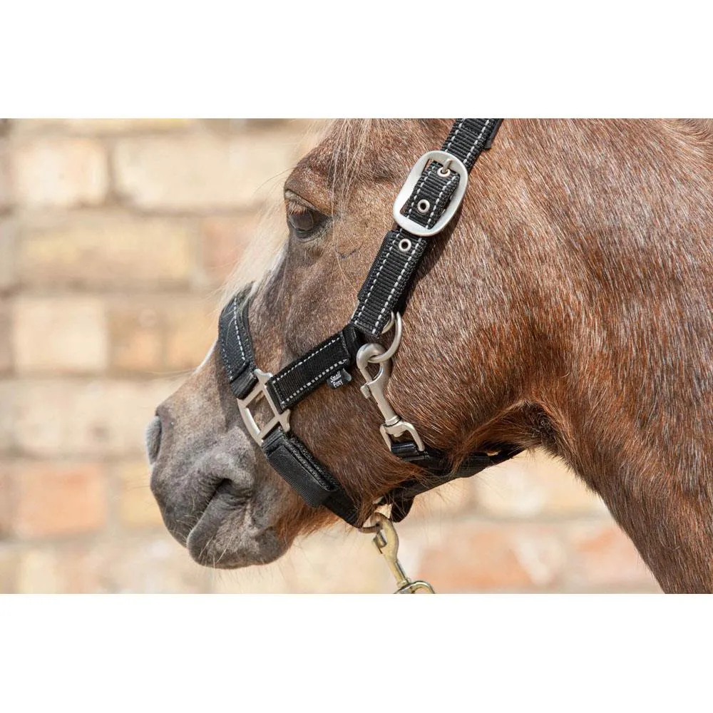 Cameo Equine Fieldsafe Headcollar - Keep Your Horse Safe with Reflective Webbing