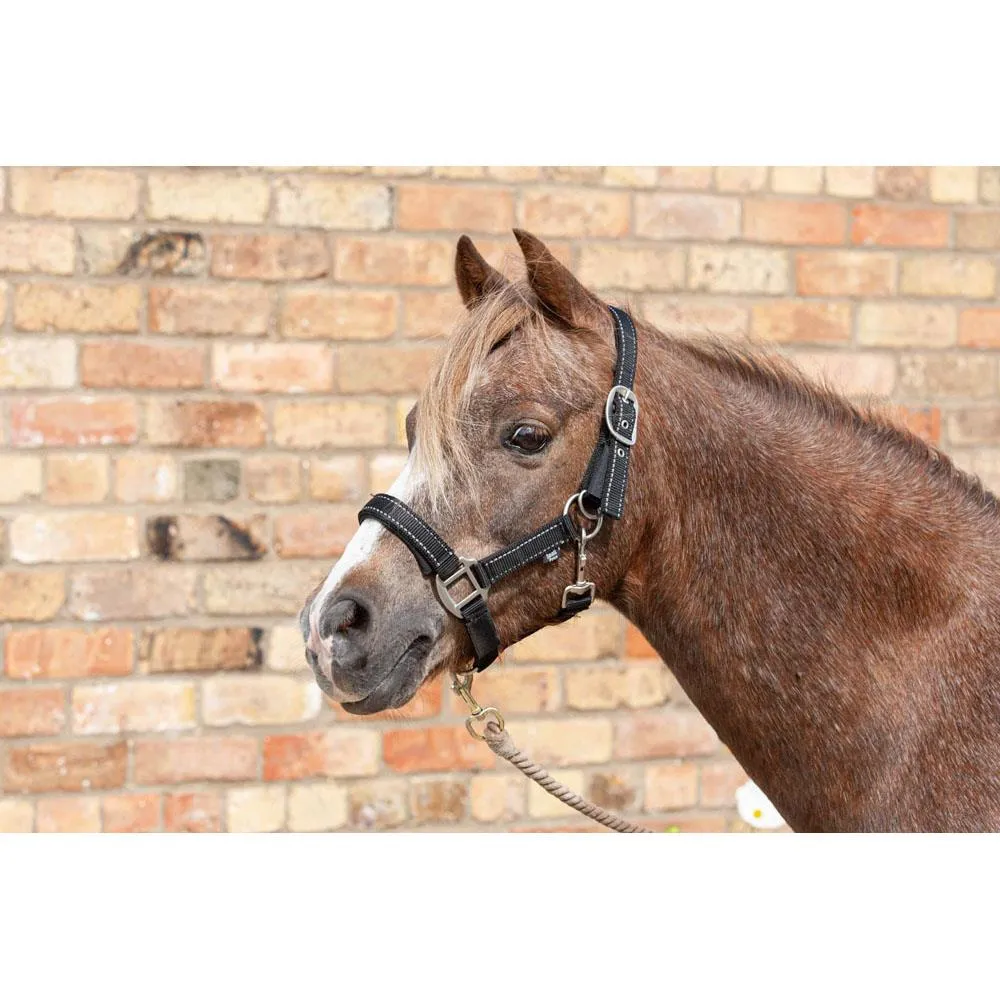 Cameo Equine Fieldsafe Headcollar - Keep Your Horse Safe with Reflective Webbing