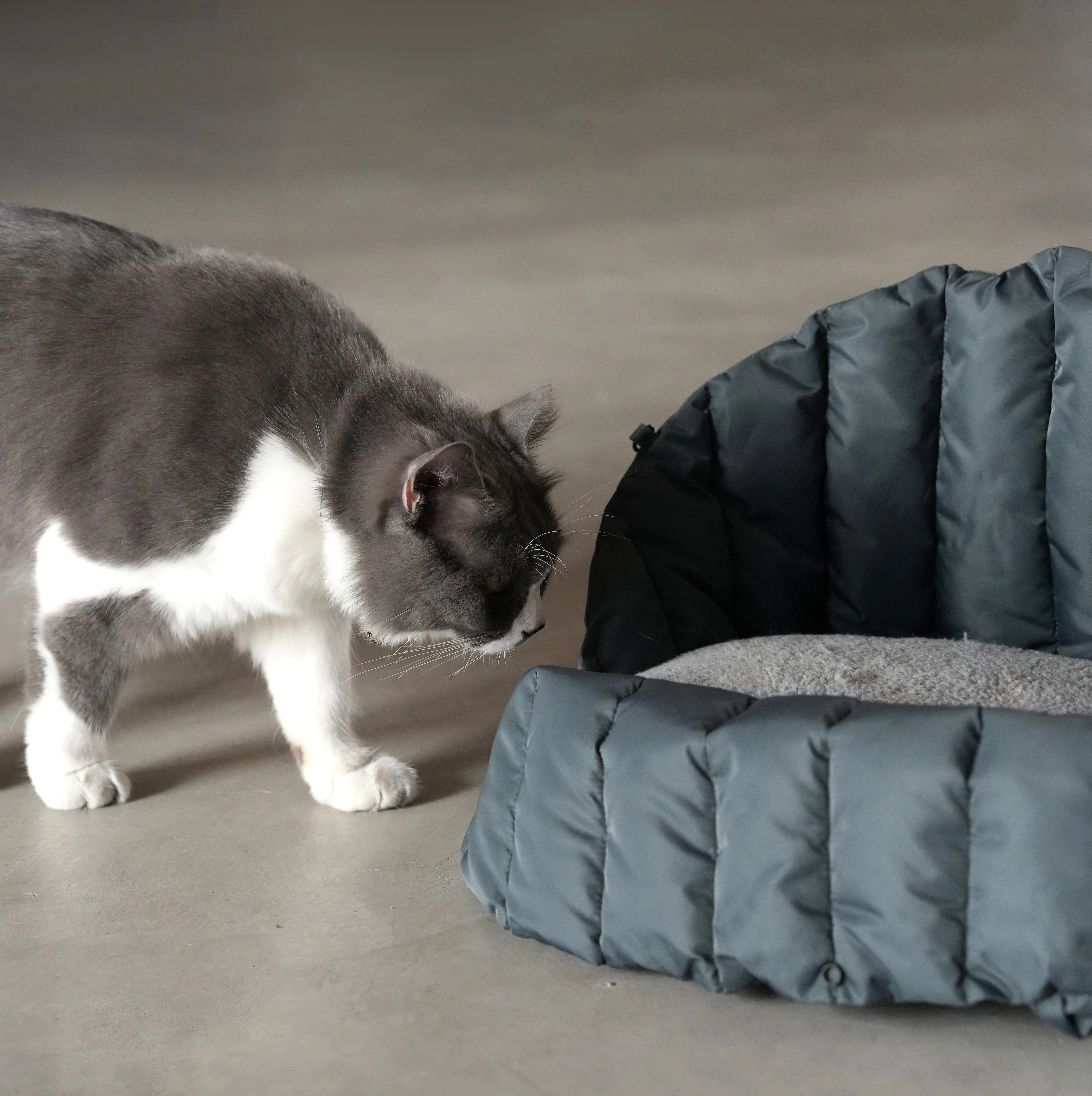 Chapel Sudoku Pet Carrier
