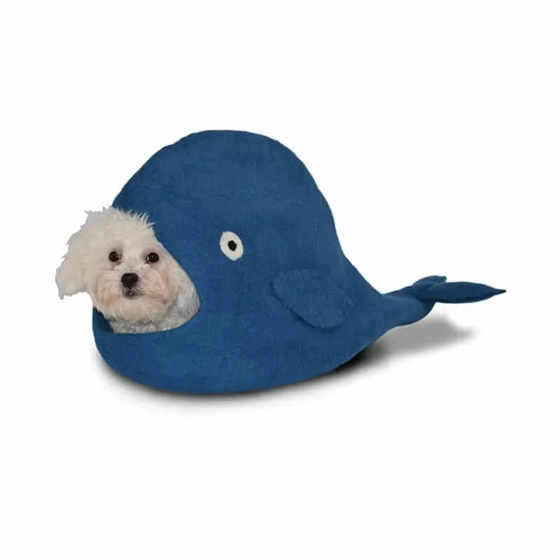 Dharma Dog Karma Cat - Cave - Animals