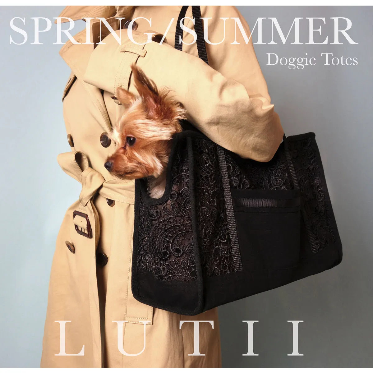 dog carrier, non-overheating, spring/summer lightweight lace pet tote "Black Beauty"