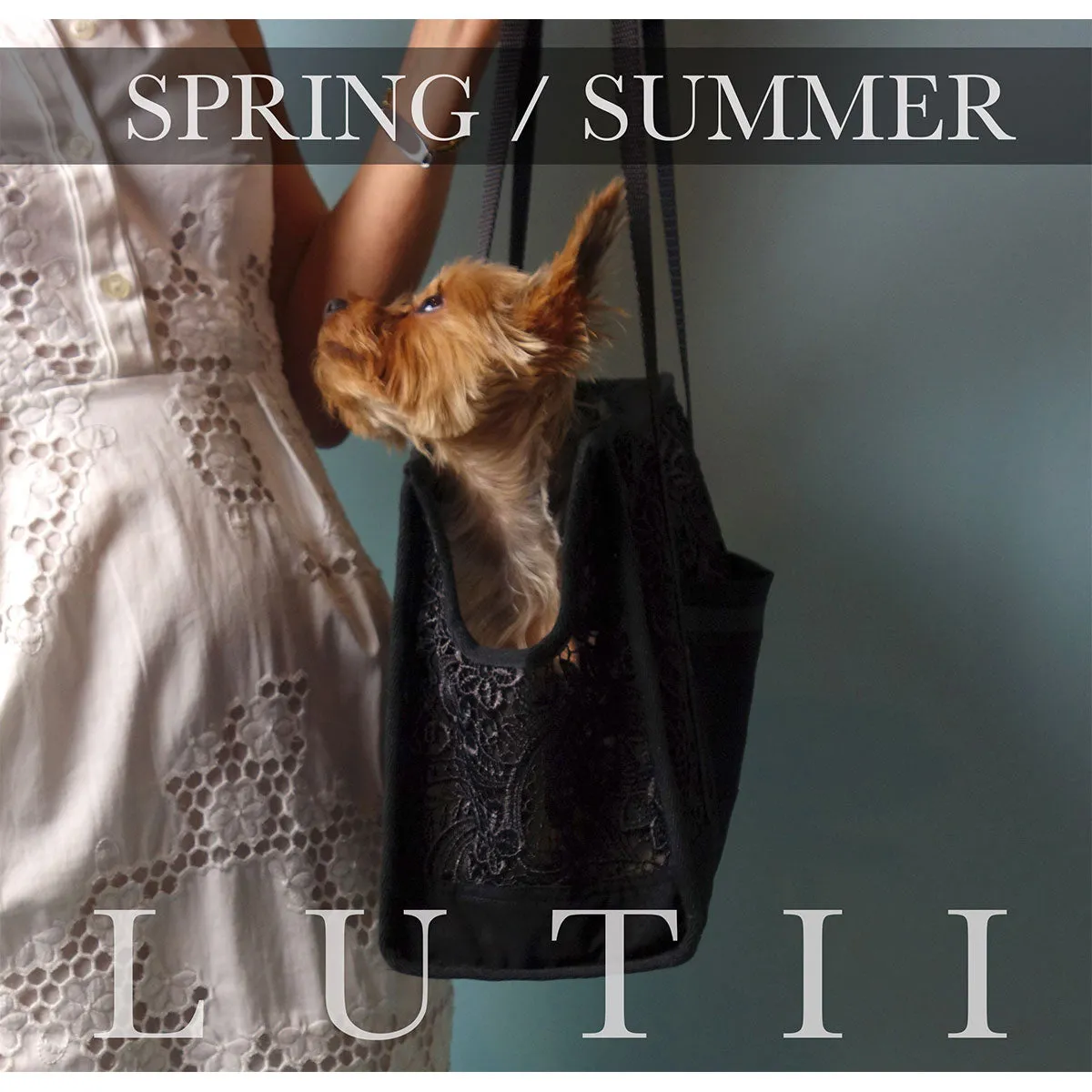 dog carrier, non-overheating, spring/summer lightweight lace pet tote "Black Beauty"