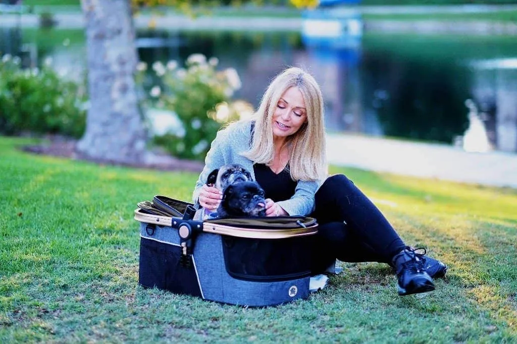 HPZ Pet Rover Prime 3-in-1 Pet Stroller
