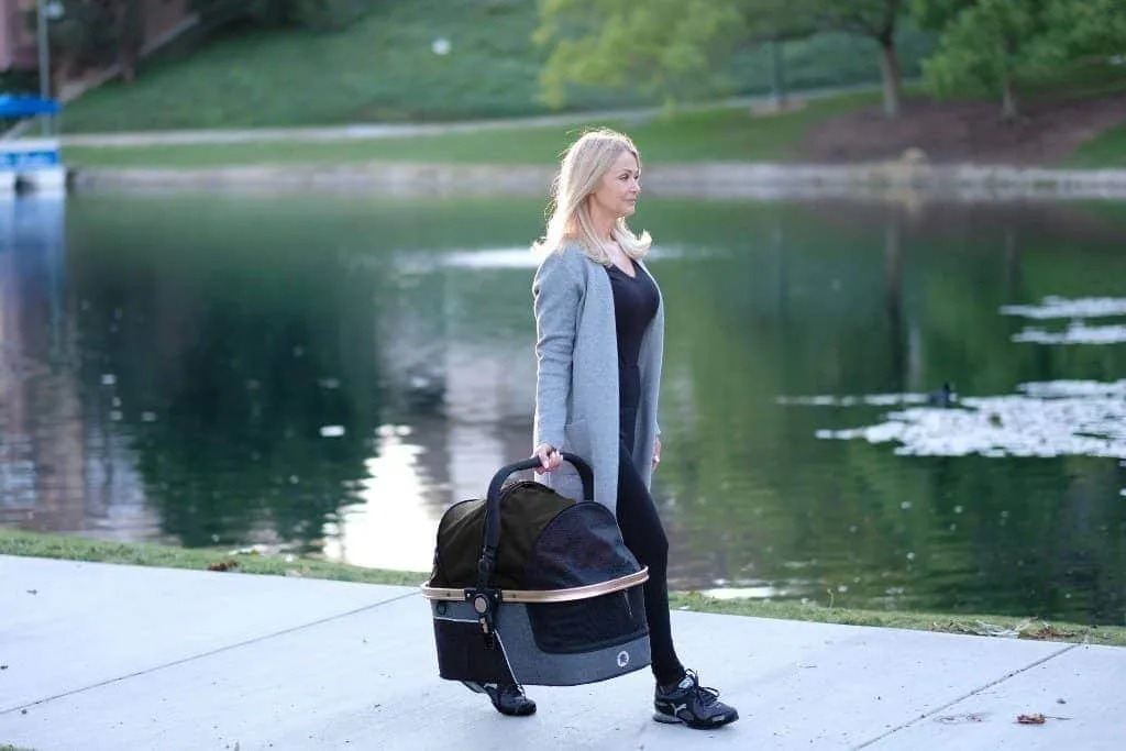 HPZ Pet Rover Prime 3-in-1 Pet Stroller