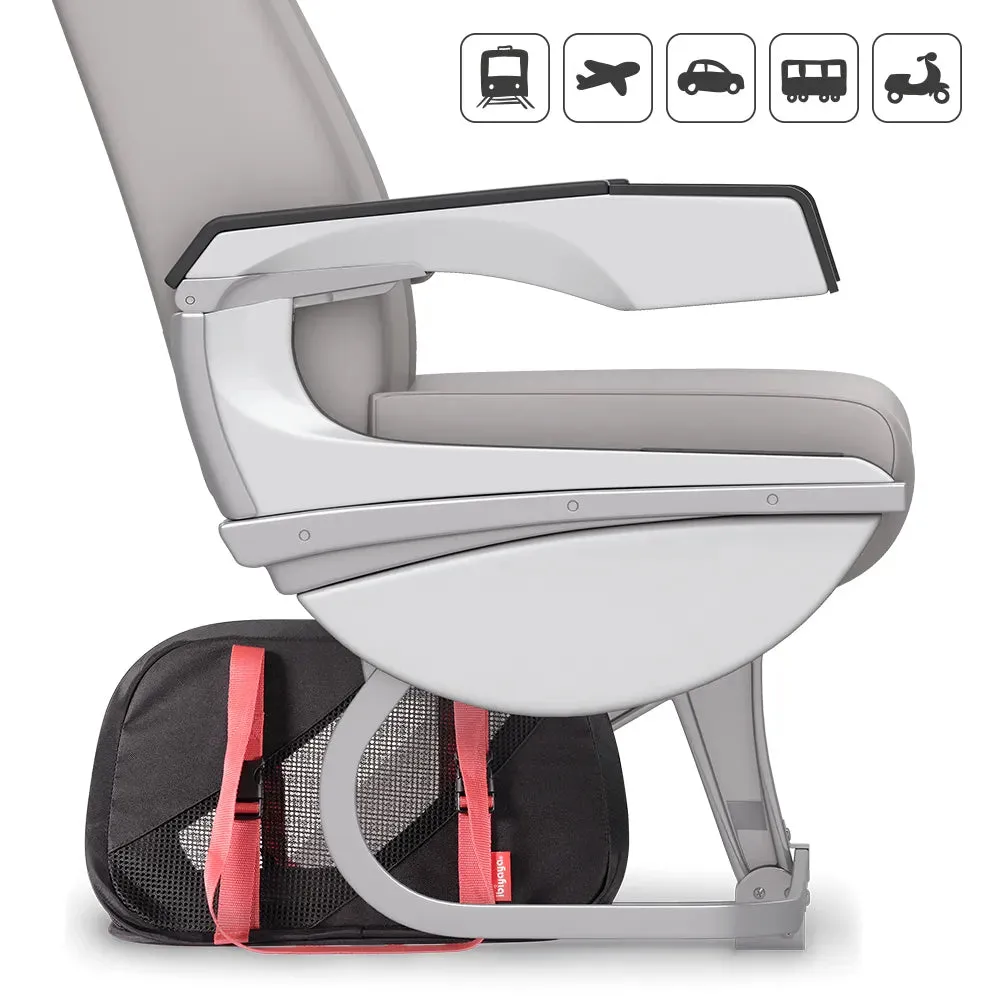 Ibiyaya Flying Pal Foldable Pet Travel Carrier