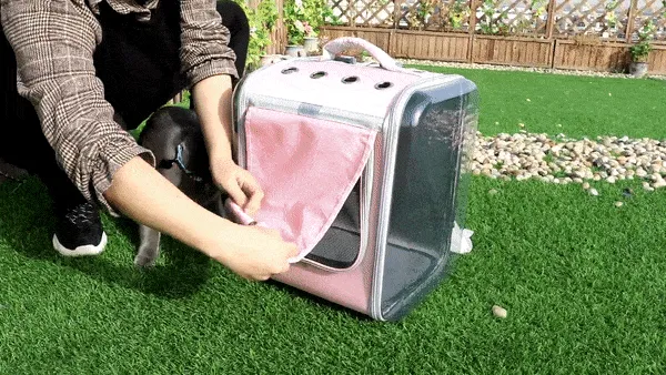 Large Cat Backpack Carrier