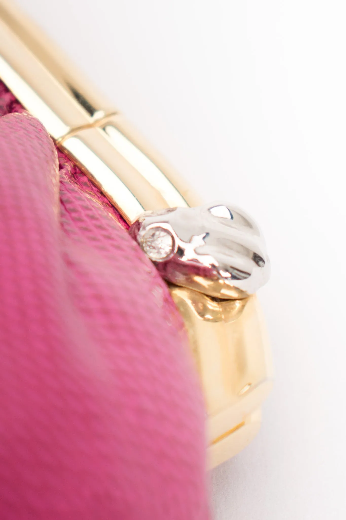 Lizard Chain Clutch