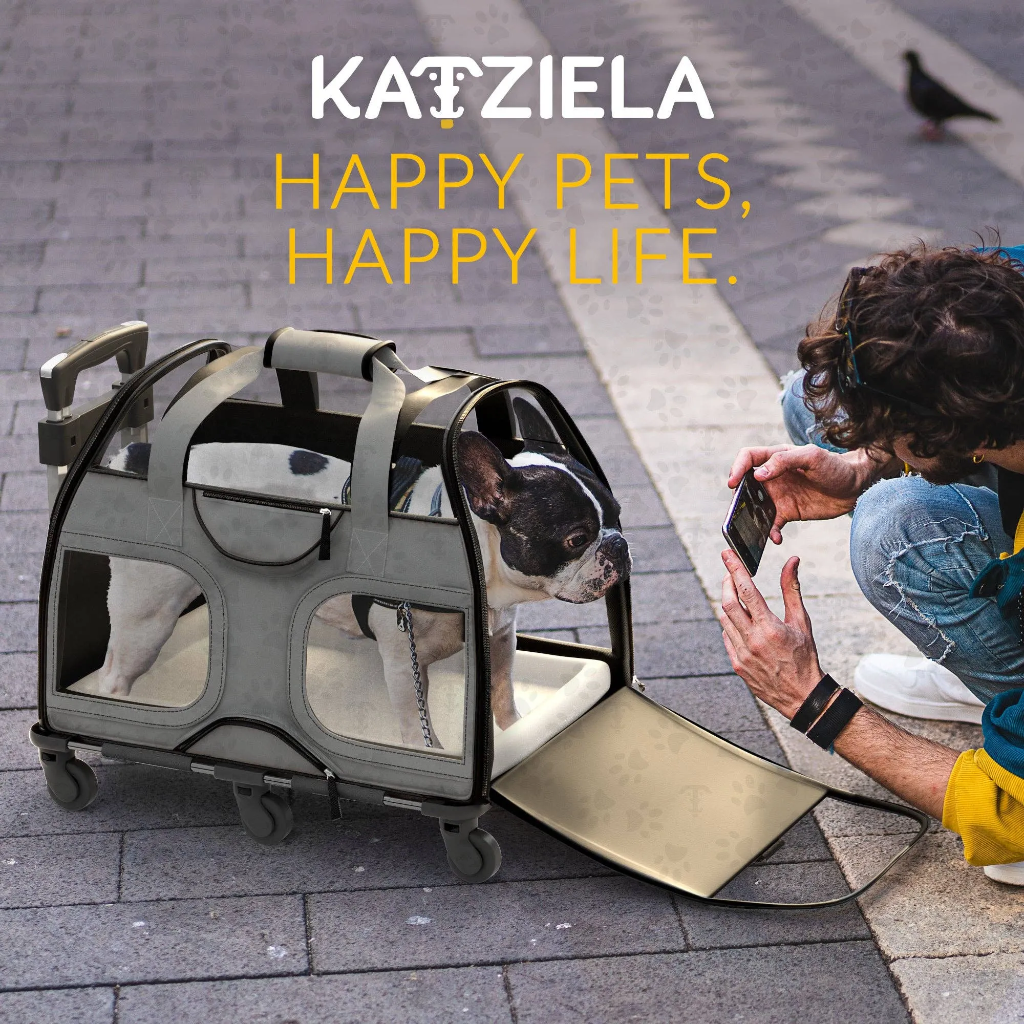 Luxury Rider Pet Carrier with Removable Wheels