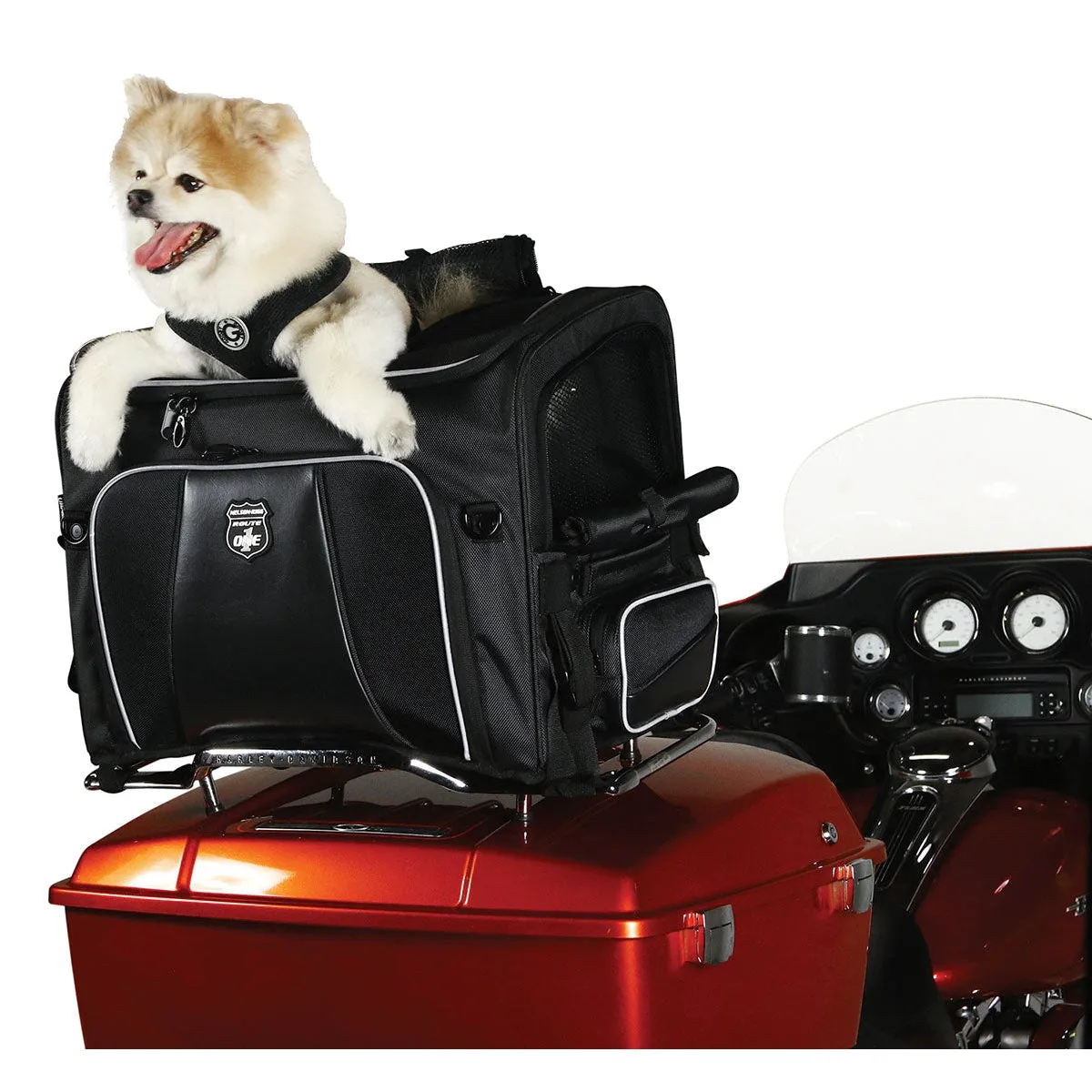 Nelson-Rigg NR-240 Rover Pet Carrier Bag