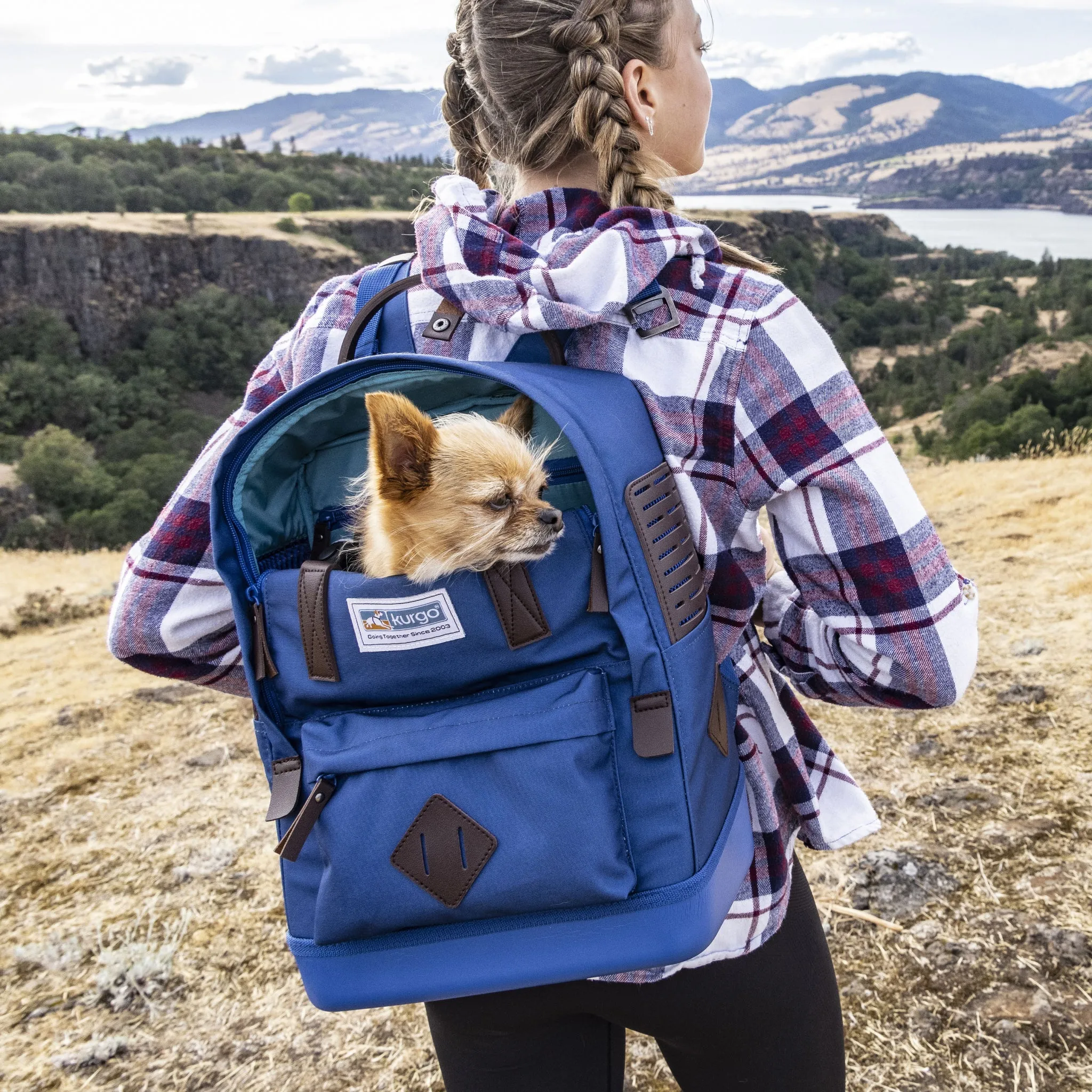 Nomad Carrier Backpack