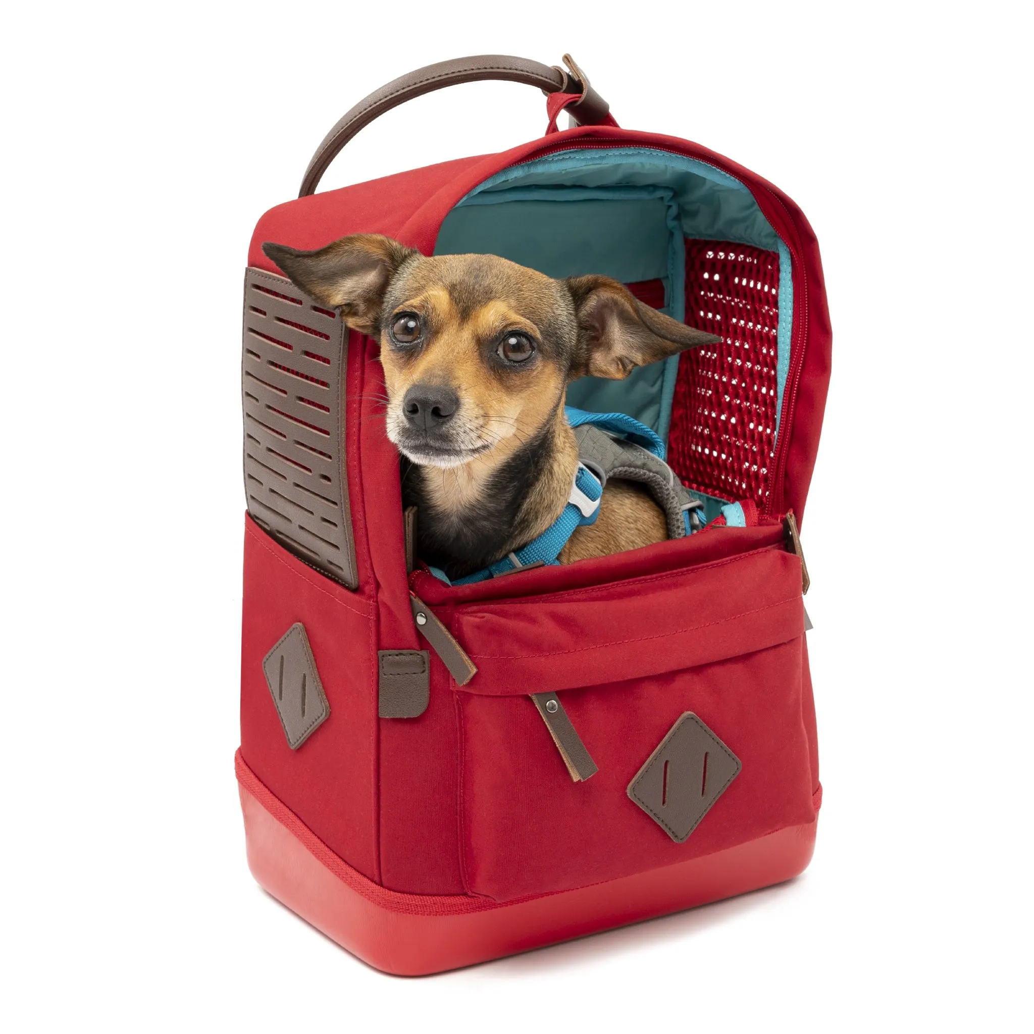 Nomad Carrier Backpack