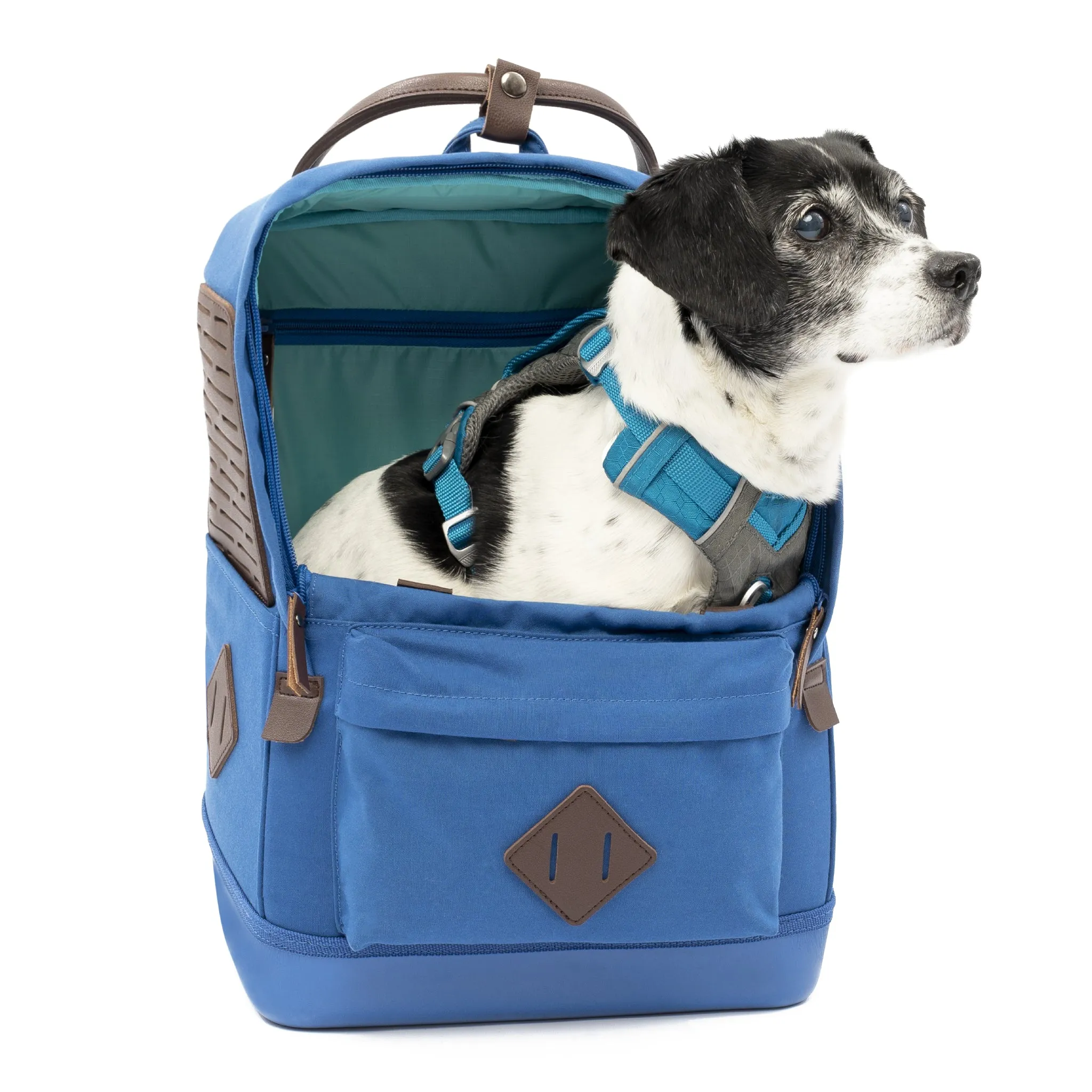 Nomad Carrier Backpack
