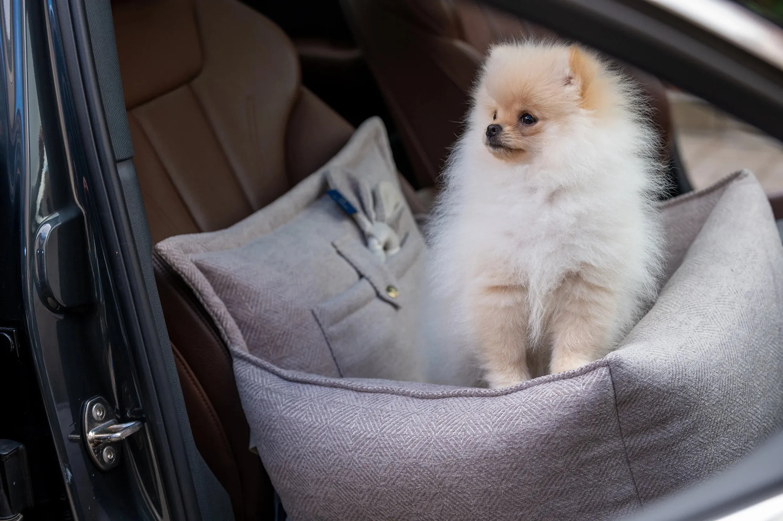 Oh Charlie Dog Car Seat Bed Florence