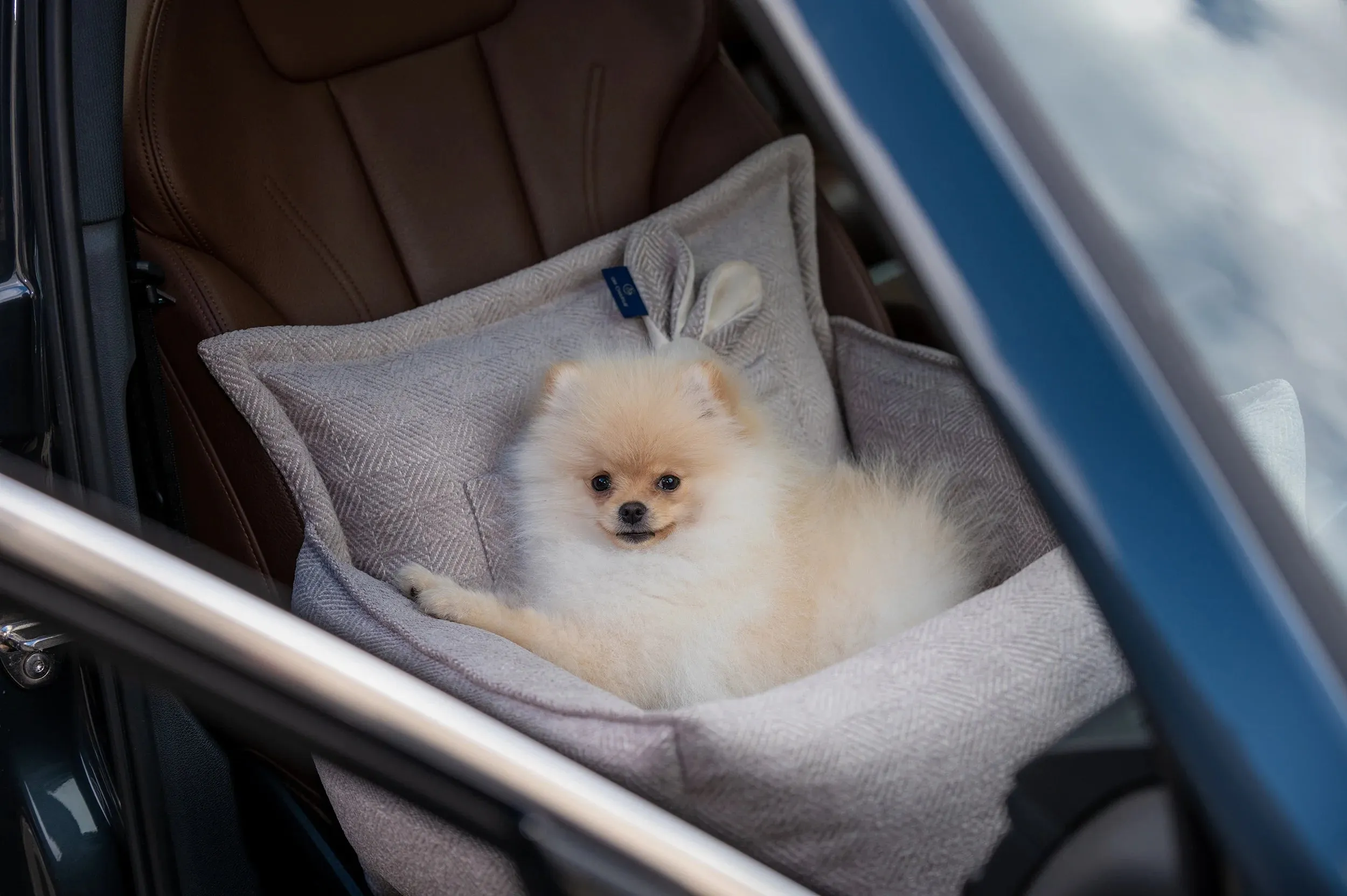 Oh Charlie Dog Car Seat Bed Florence