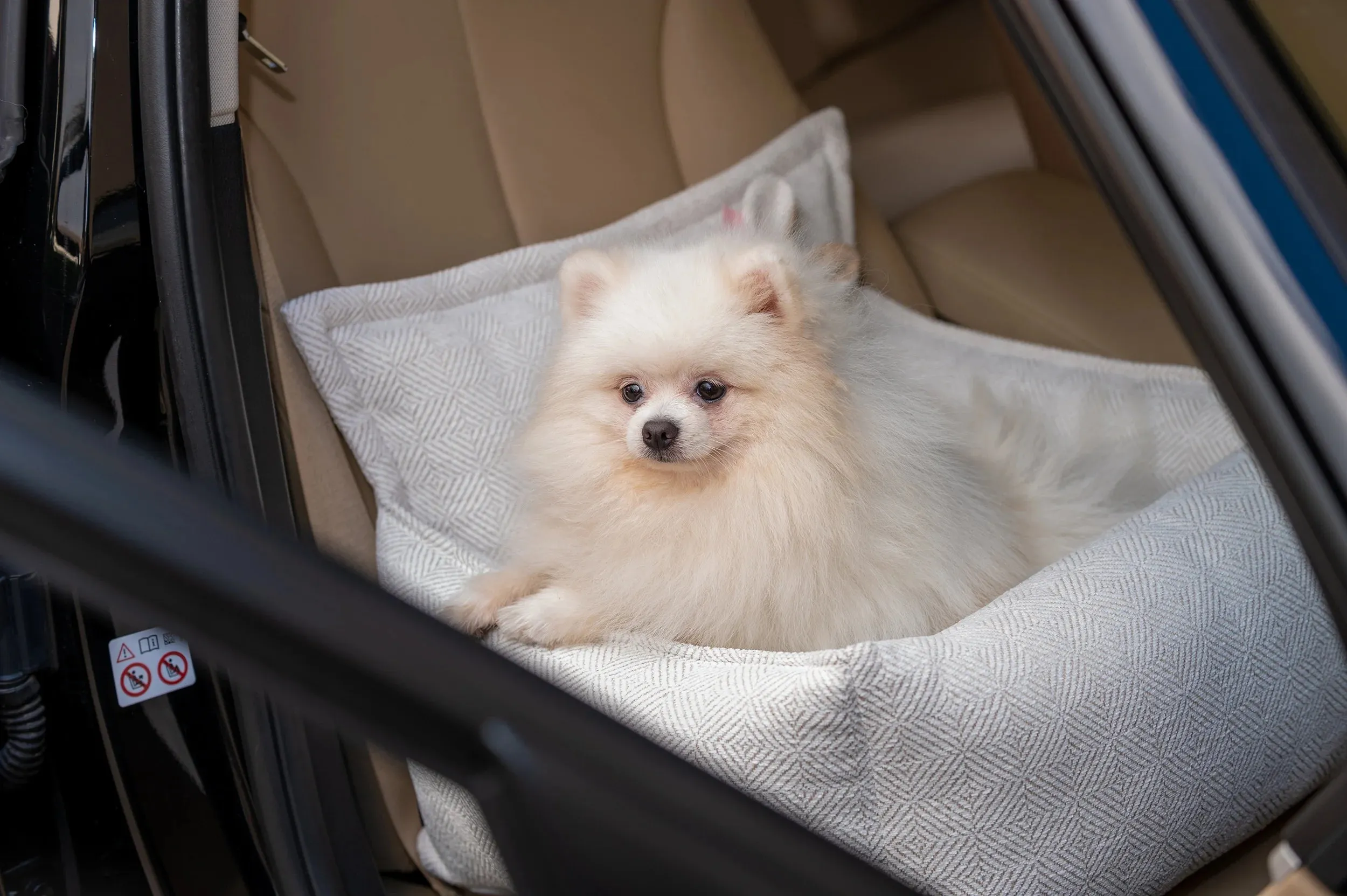 Oh Charlie Dog Car Seat Bed Florence