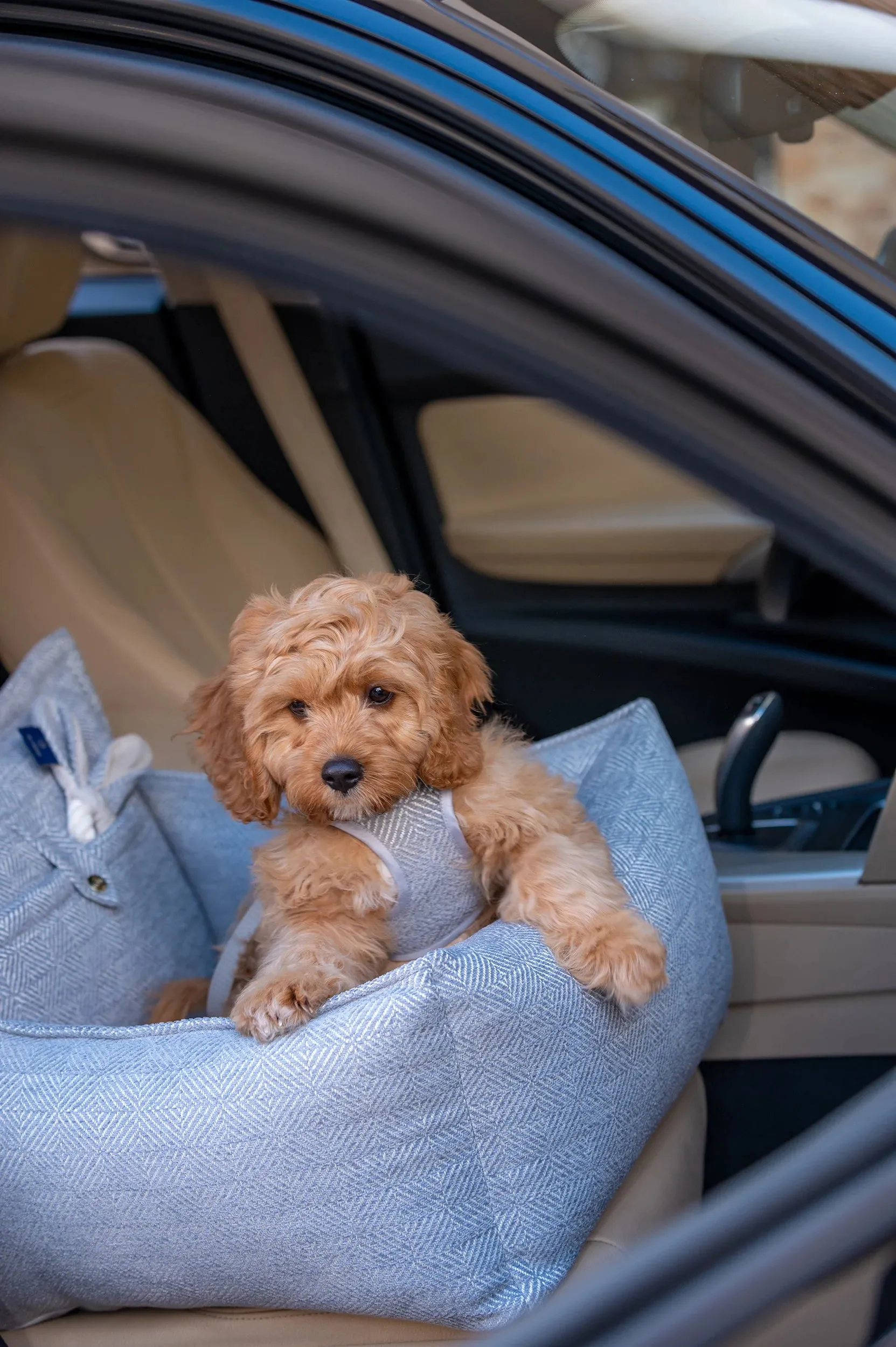 Oh Charlie Dog Car Seat Bed Florence