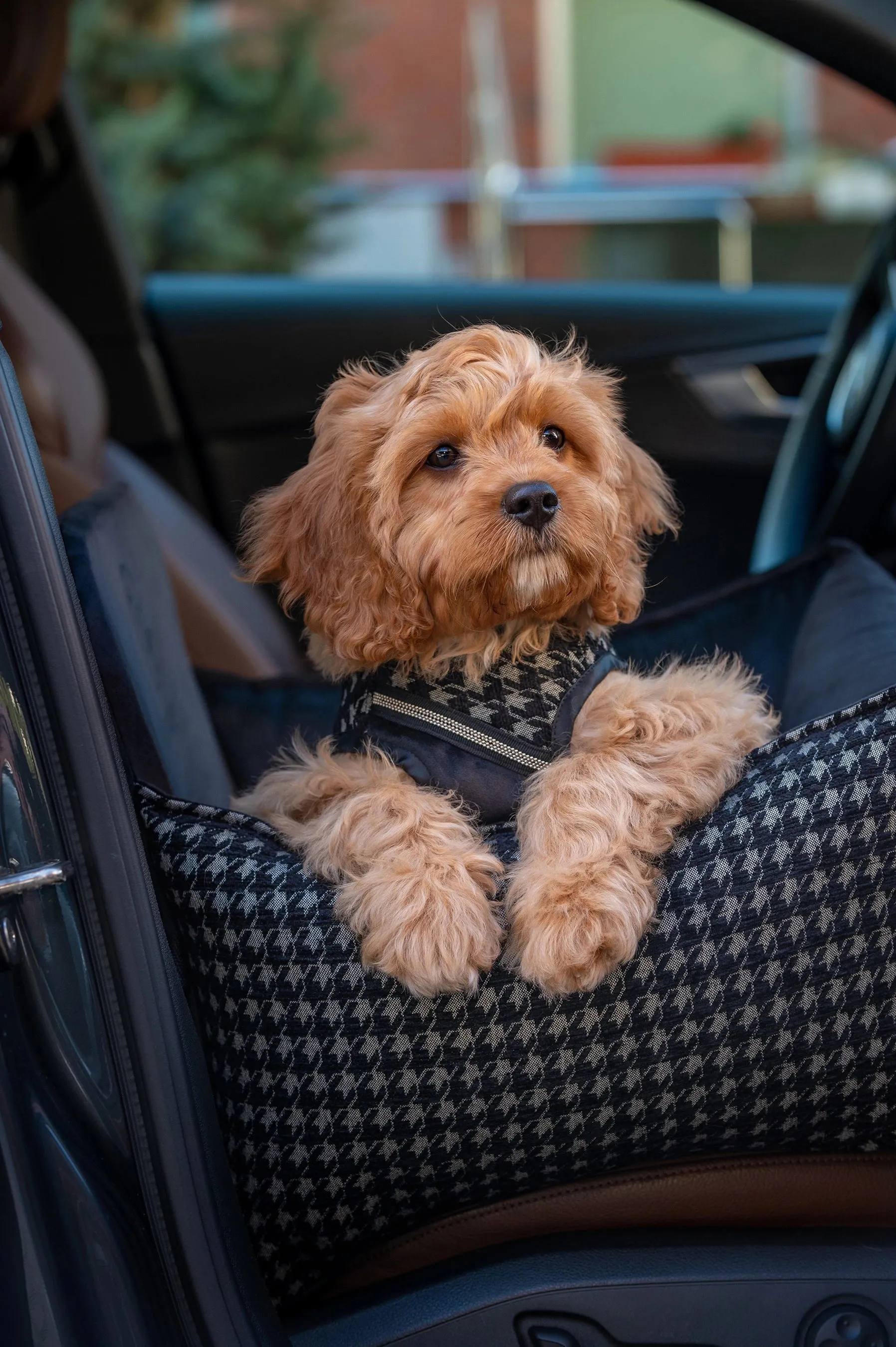 Oh Charlie Dog Car Seat Bed Prestige