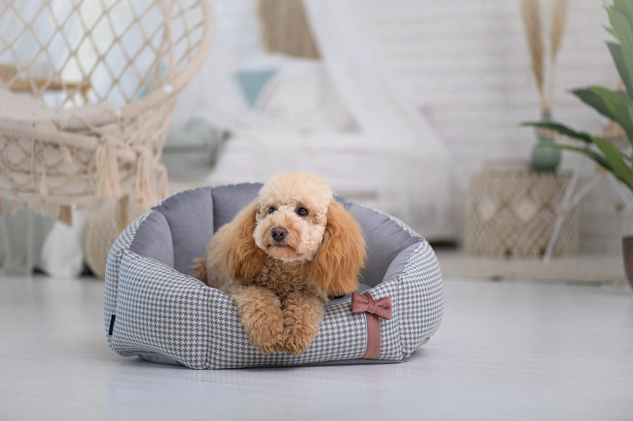 Oh Charlie Round Dog Bed Finessa