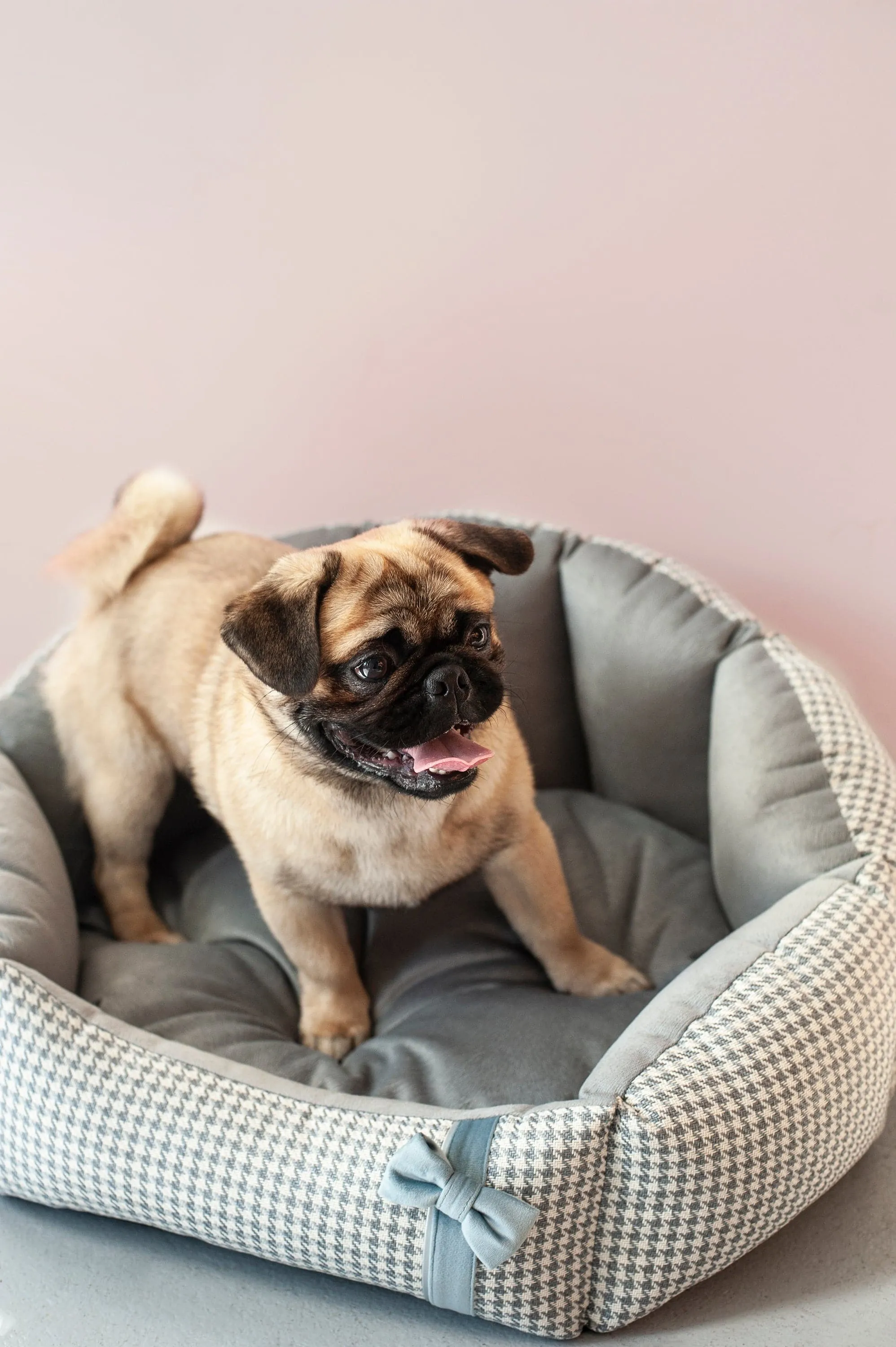Oh Charlie Round Dog Bed Finessa