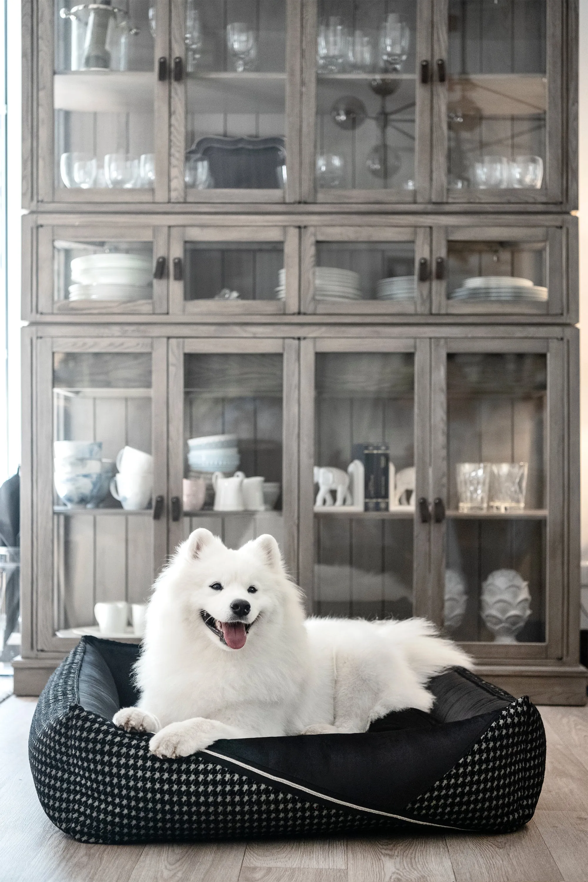 Oh Charlie Square Dog Bed Prestige Deluxe