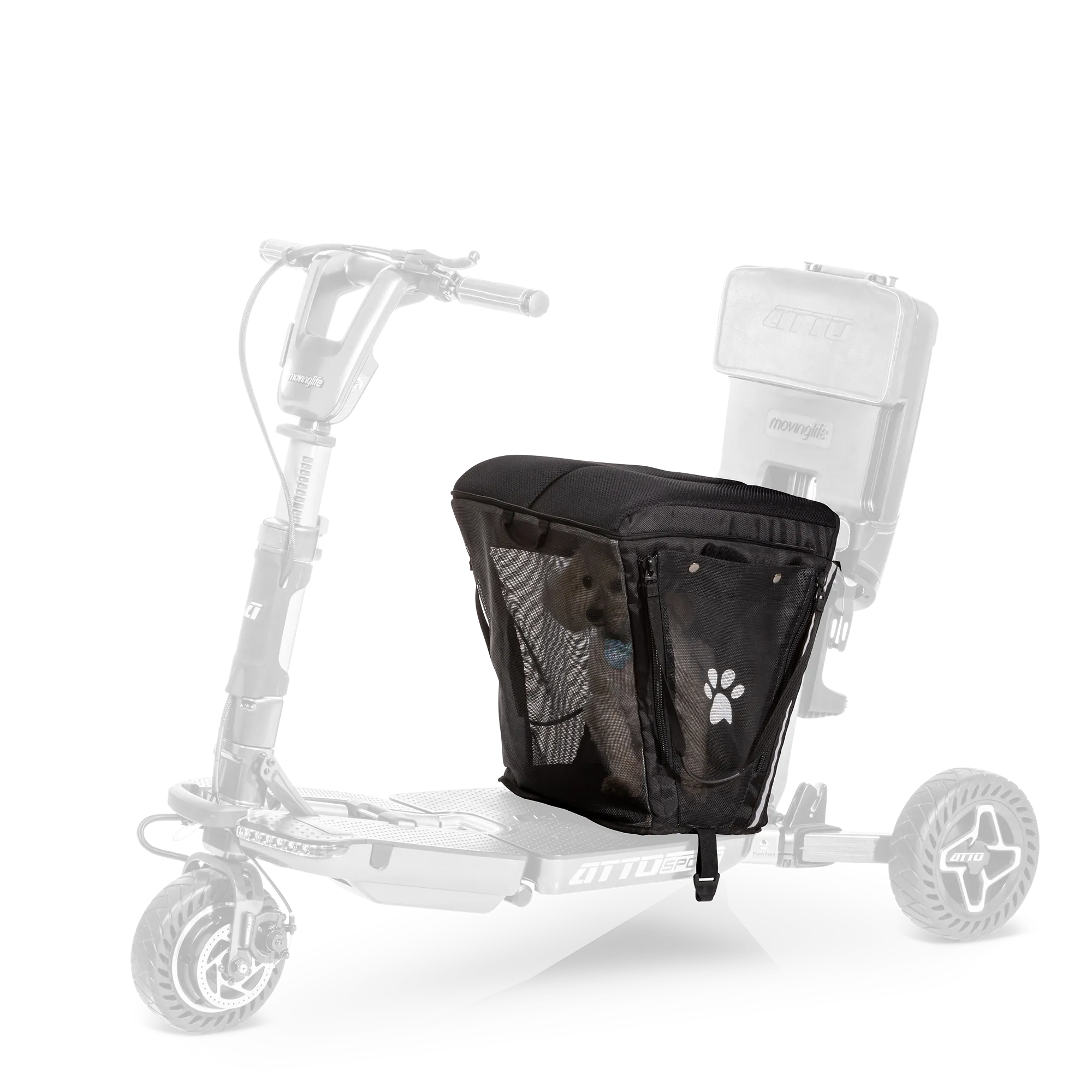 Pet Carrier & Cushion Black