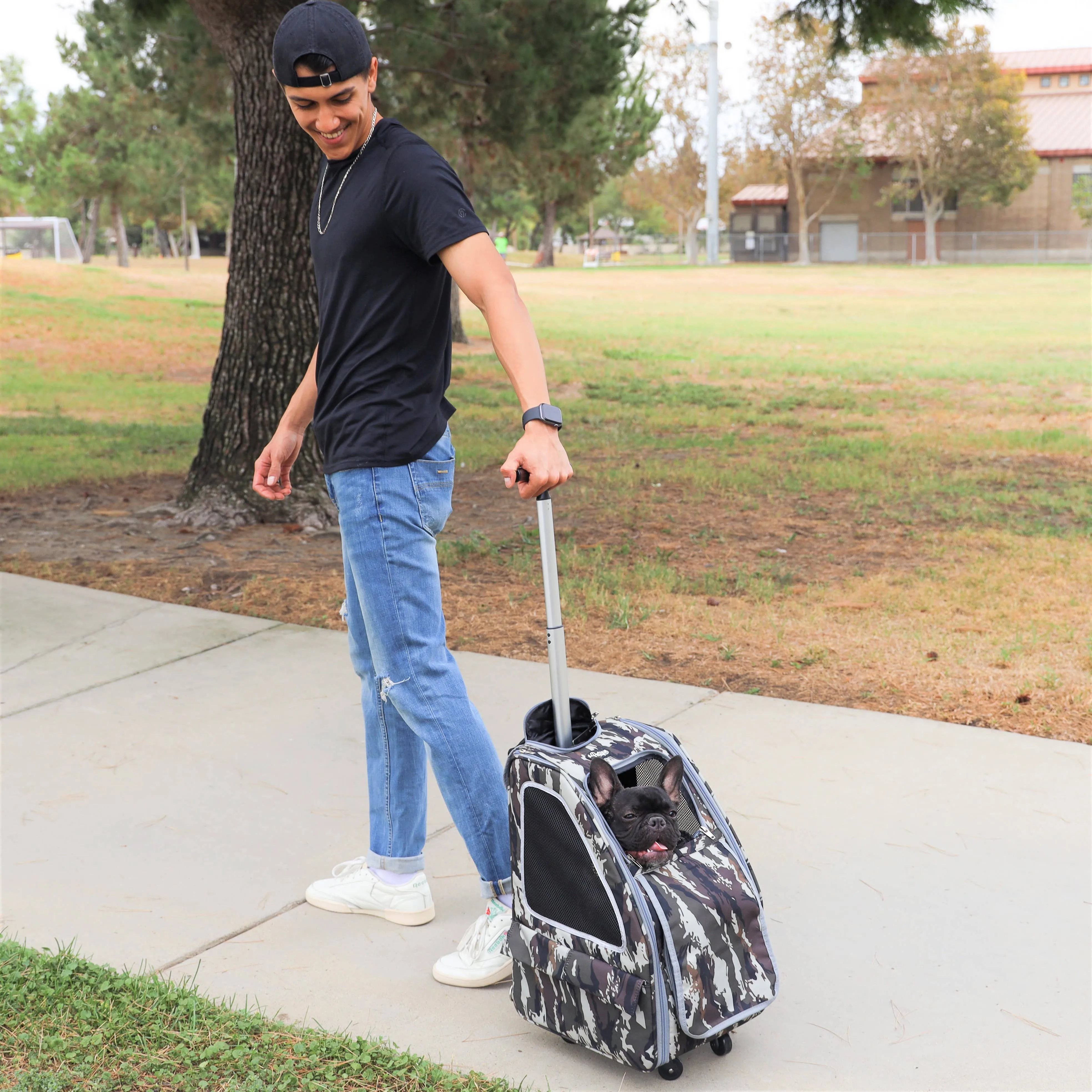 Petique, Inc - 5-in-1 Pet Stroller (Complete Set)