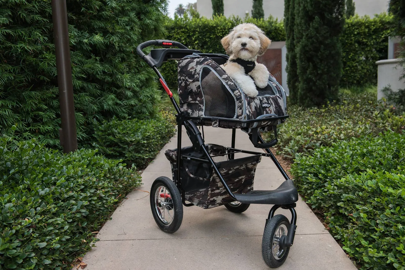 Petique, Inc - 5-in-1 Pet Stroller (Complete Set)