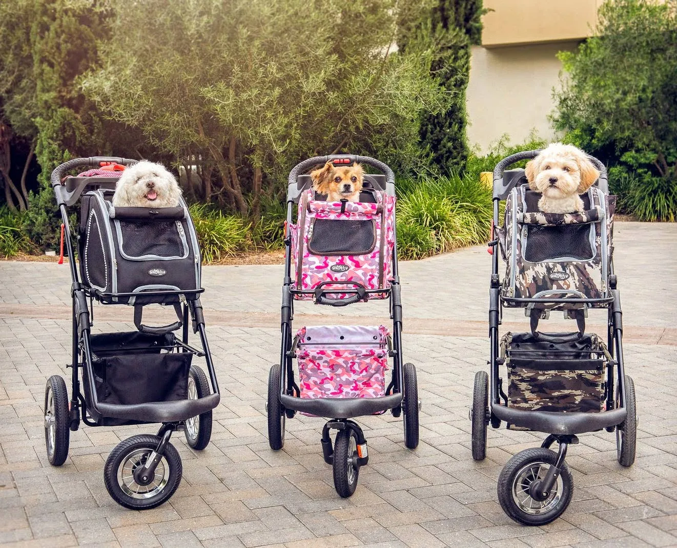 Petique, Inc - 5-in-1 Pet Stroller (Complete Set)