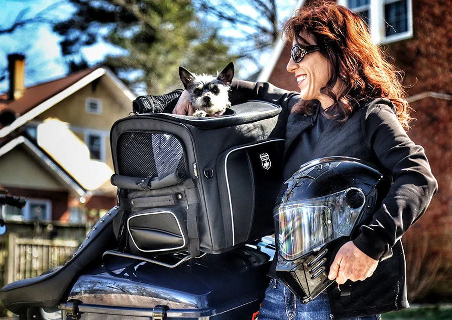 Rover Pet Carrier