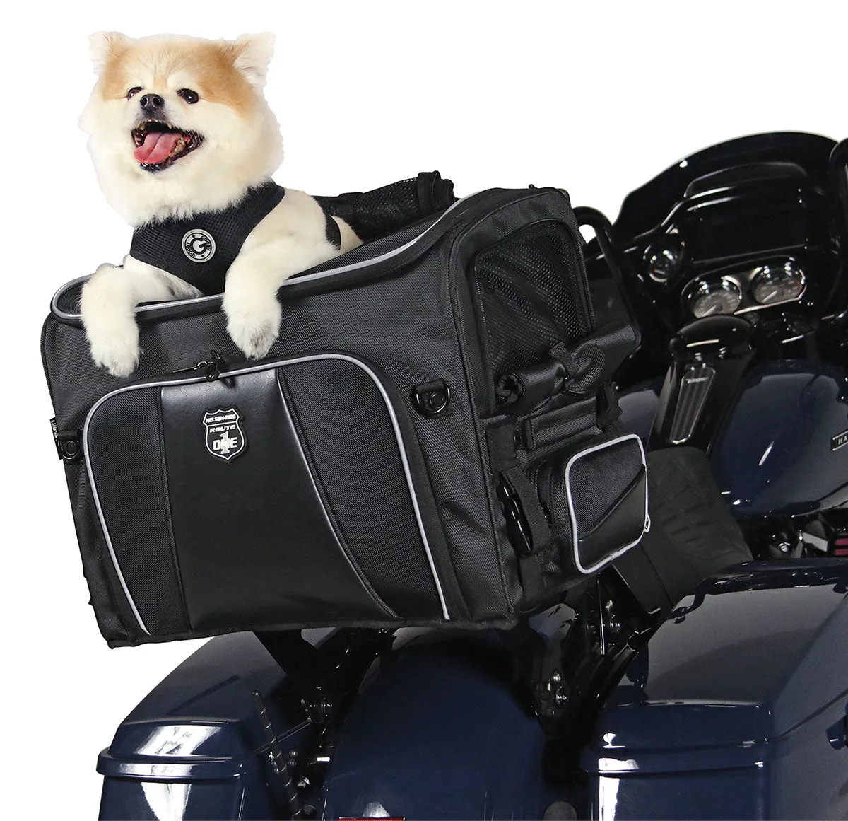 Rover Pet Carrier