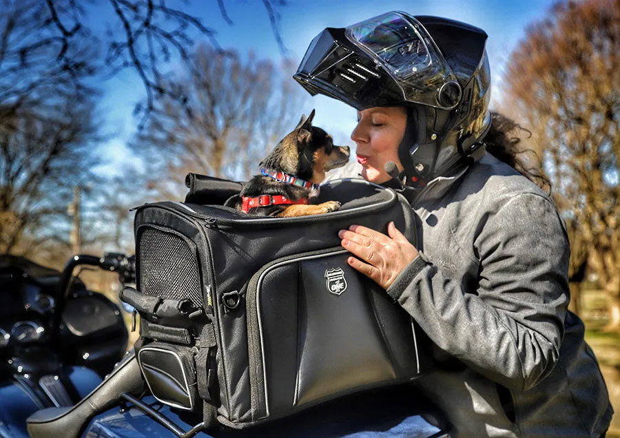 Rover Pet Carrier