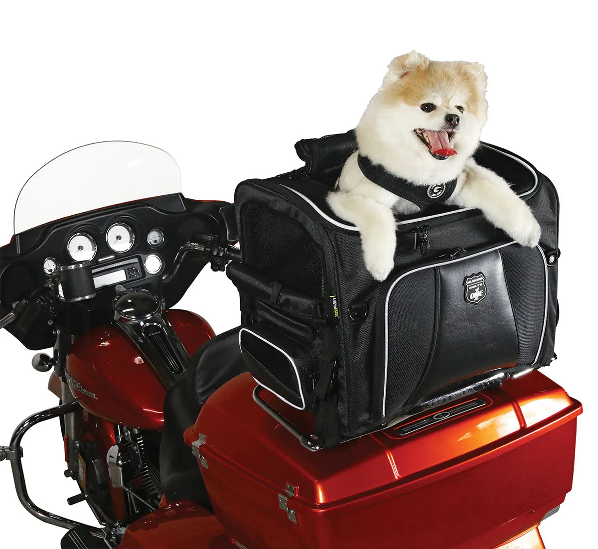 Rover Pet Carrier