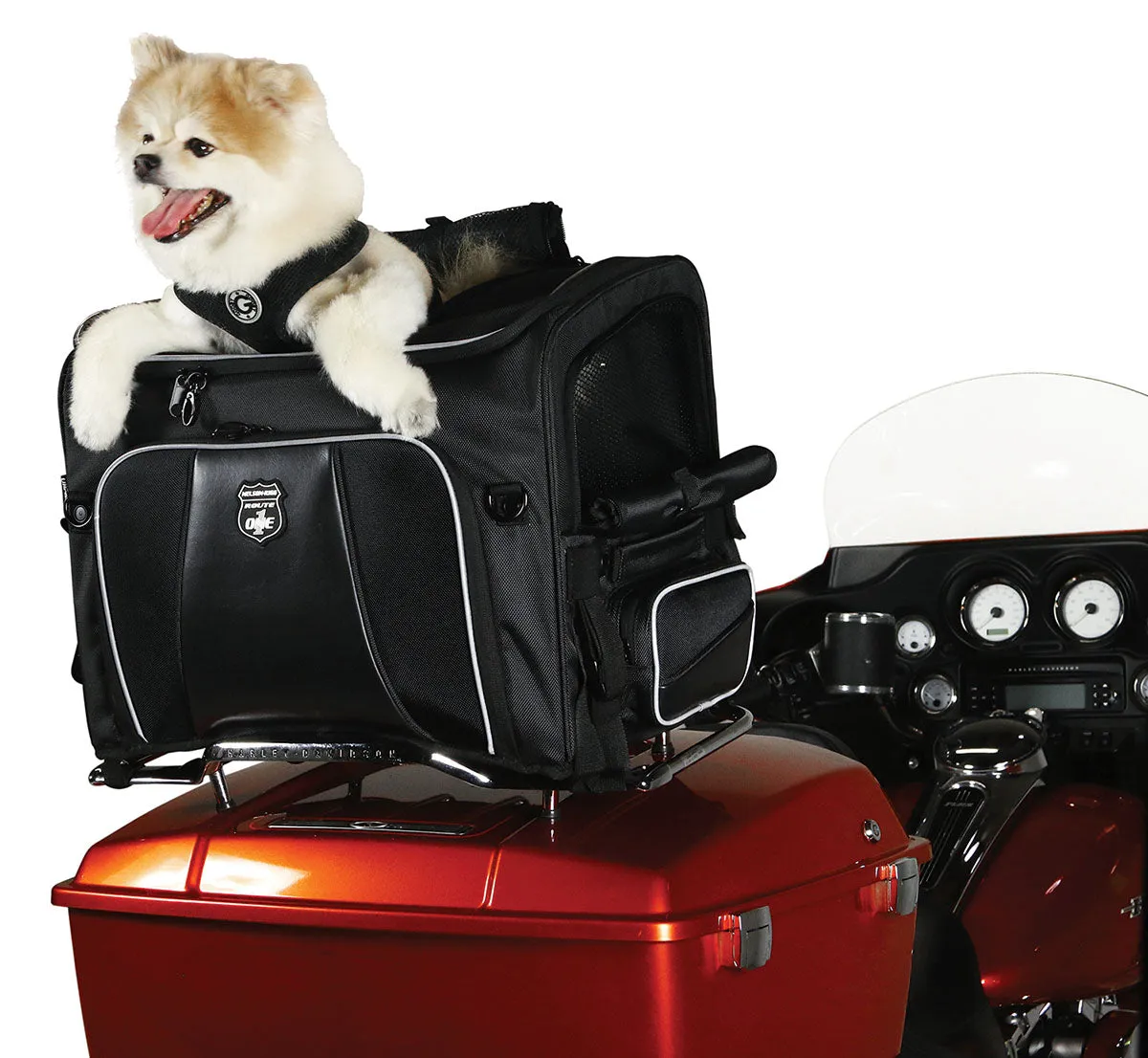 Rover Pet Carrier