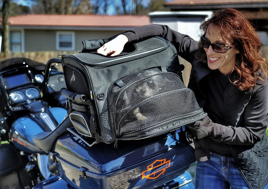 Rover Pet Carrier