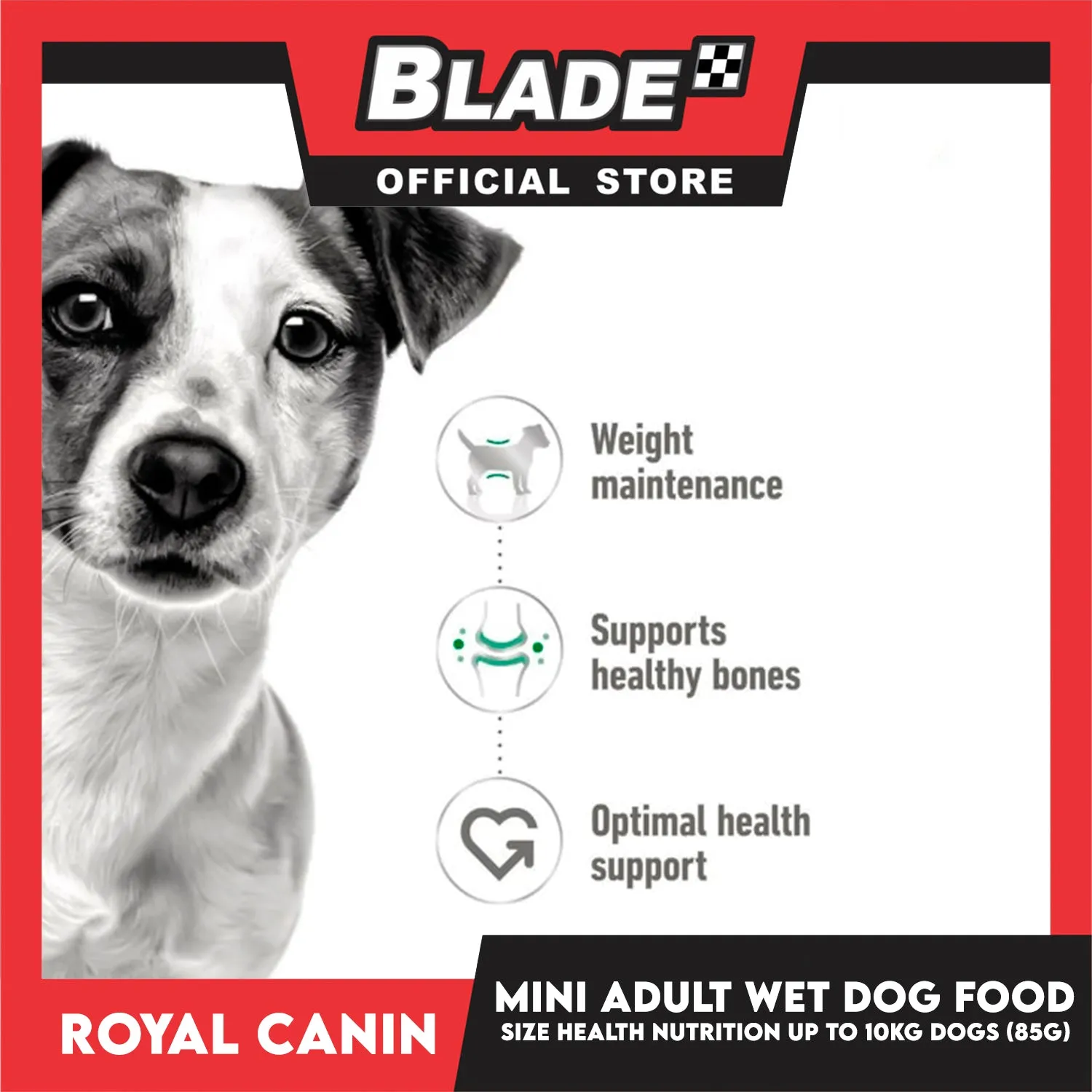 Royal Canin Mini Adult (85g x 12 pouches) Wet Dog Food - Size Health Nutrition