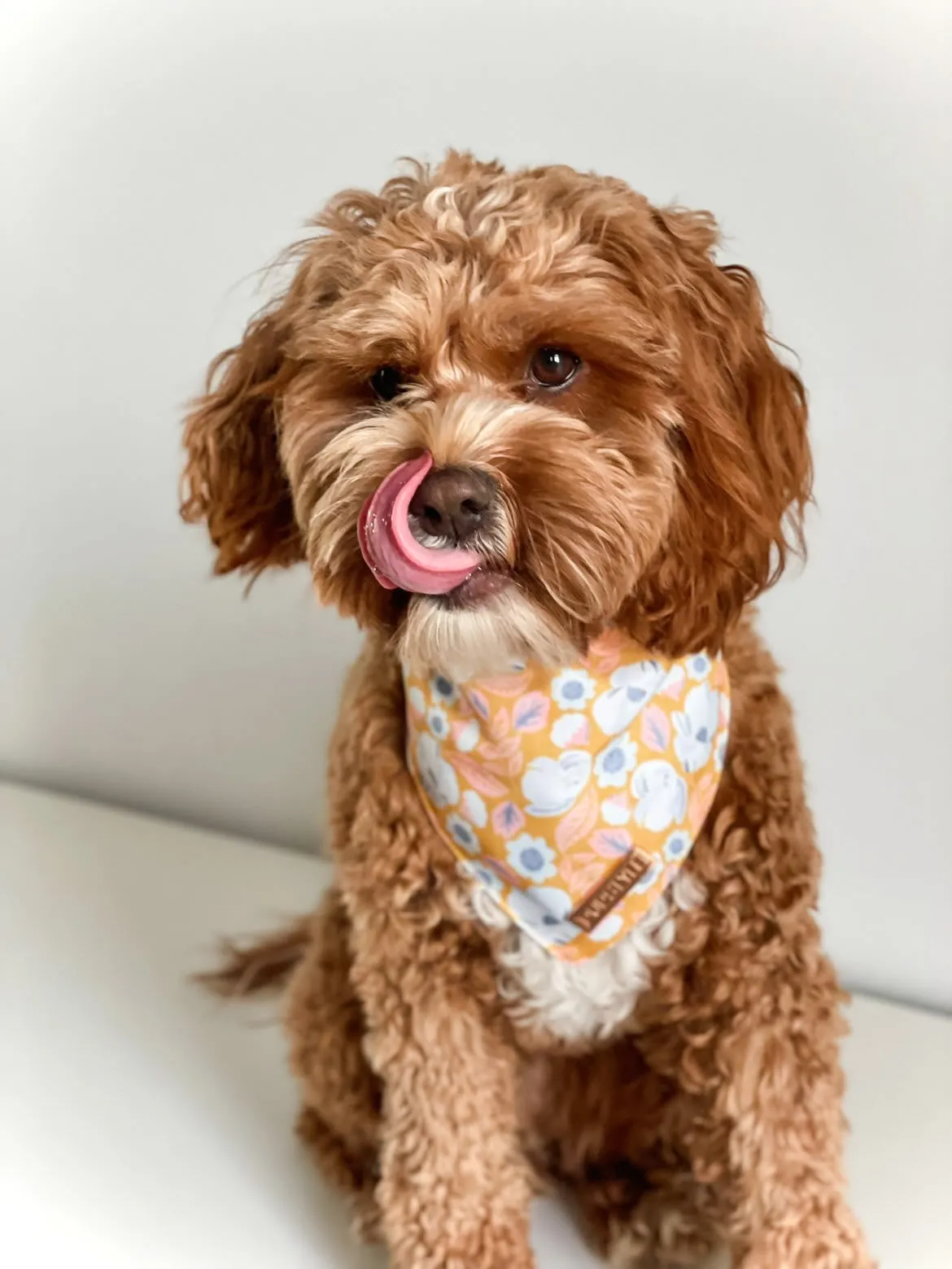 Summer Fling Bandana