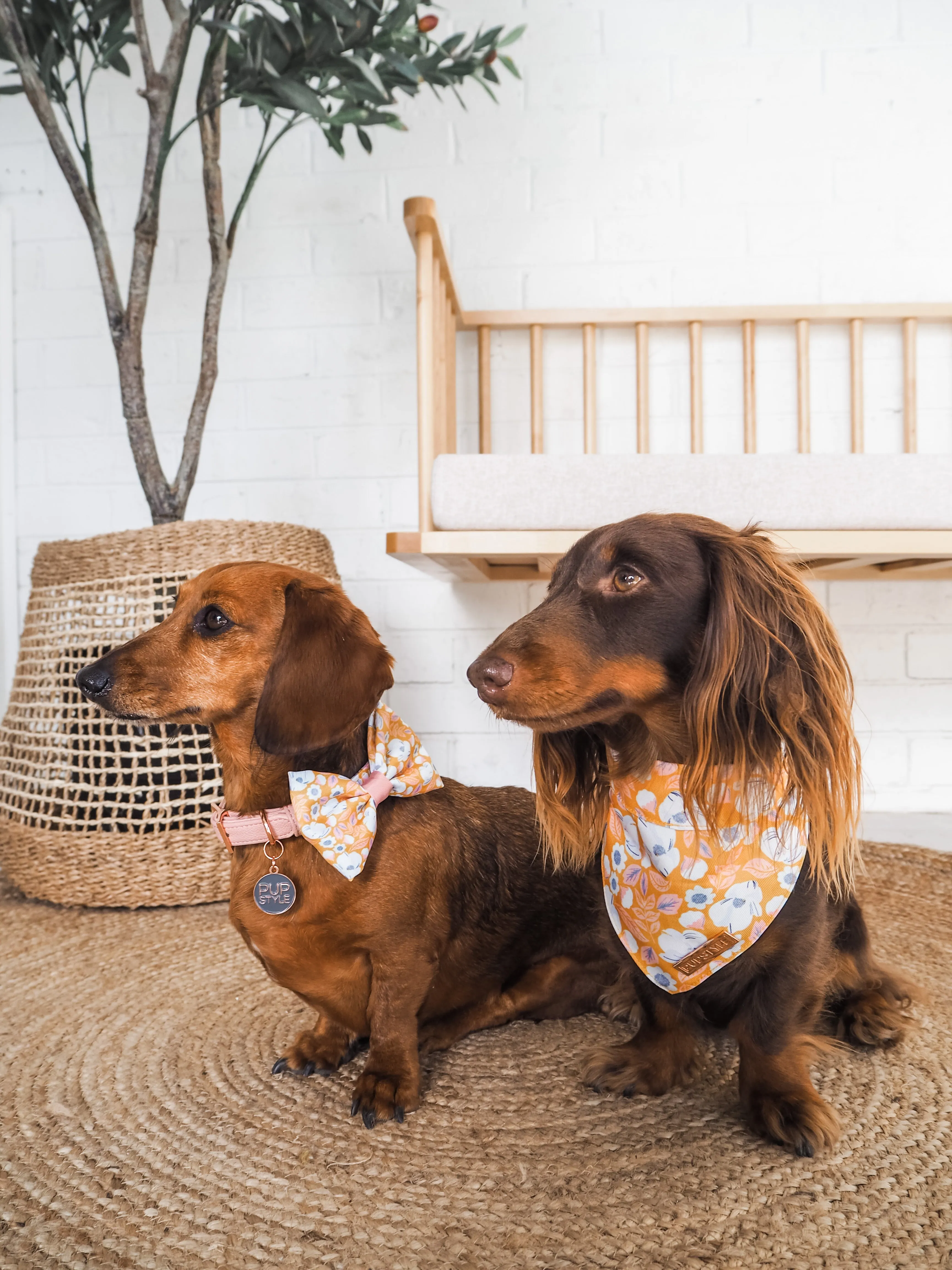 Summer Fling Bandana