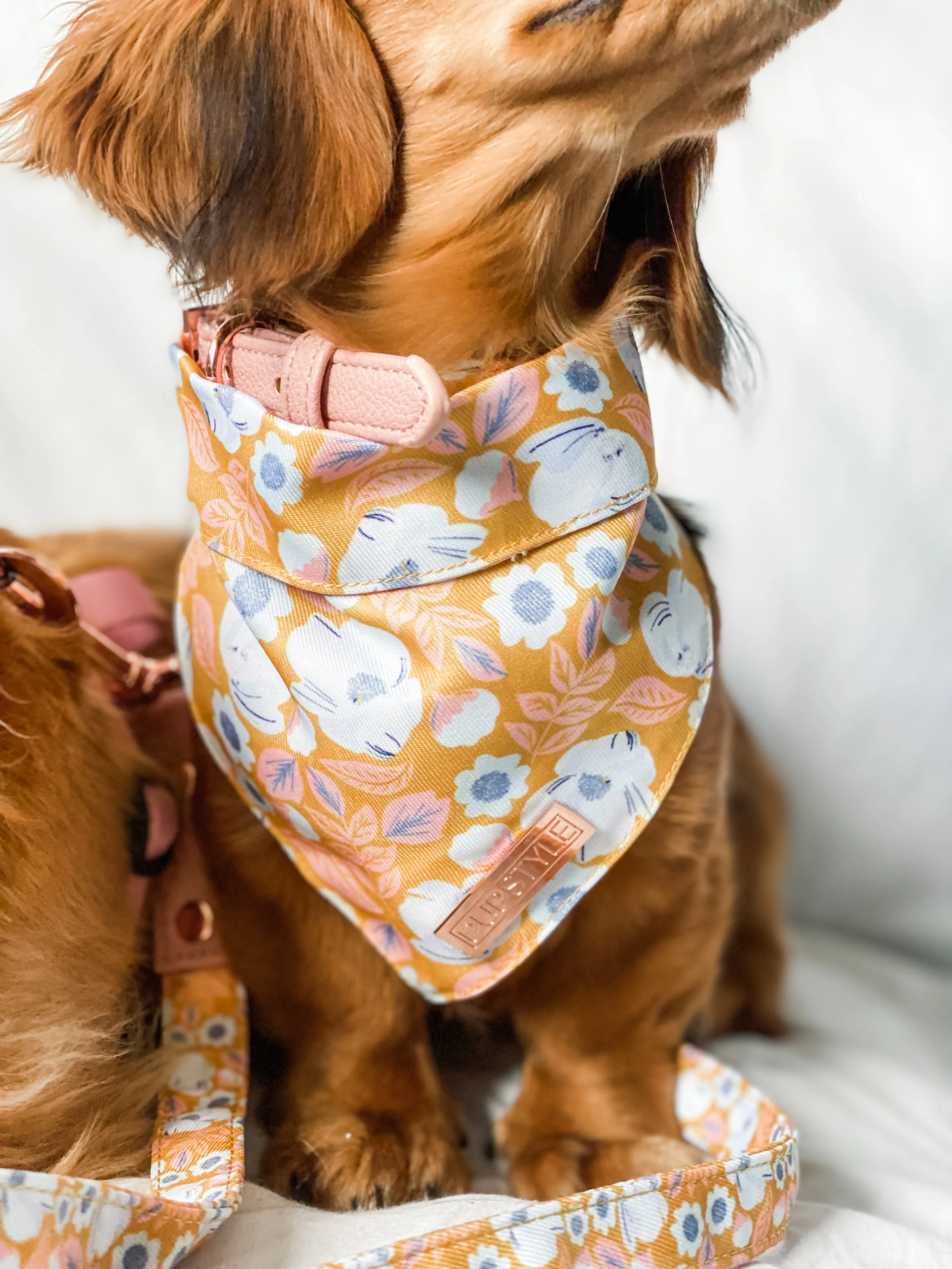 Summer Fling Bandana