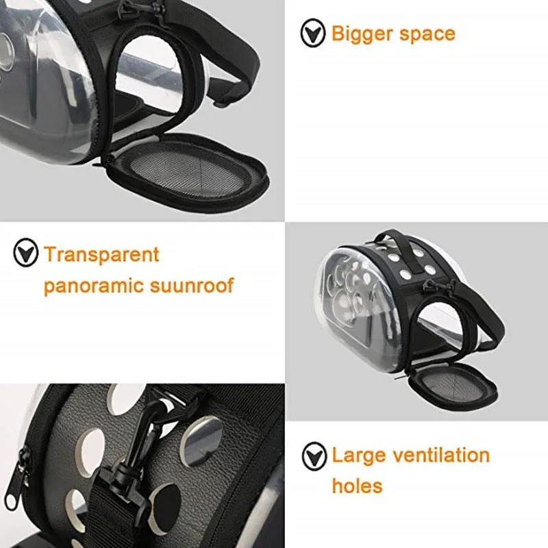 Transparent Pet Carrier