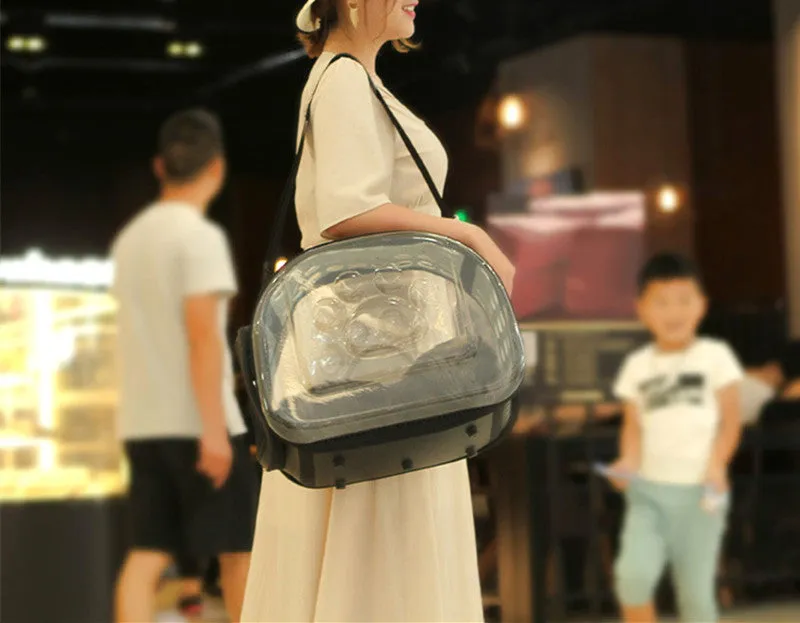 Transparent Pet Carrier